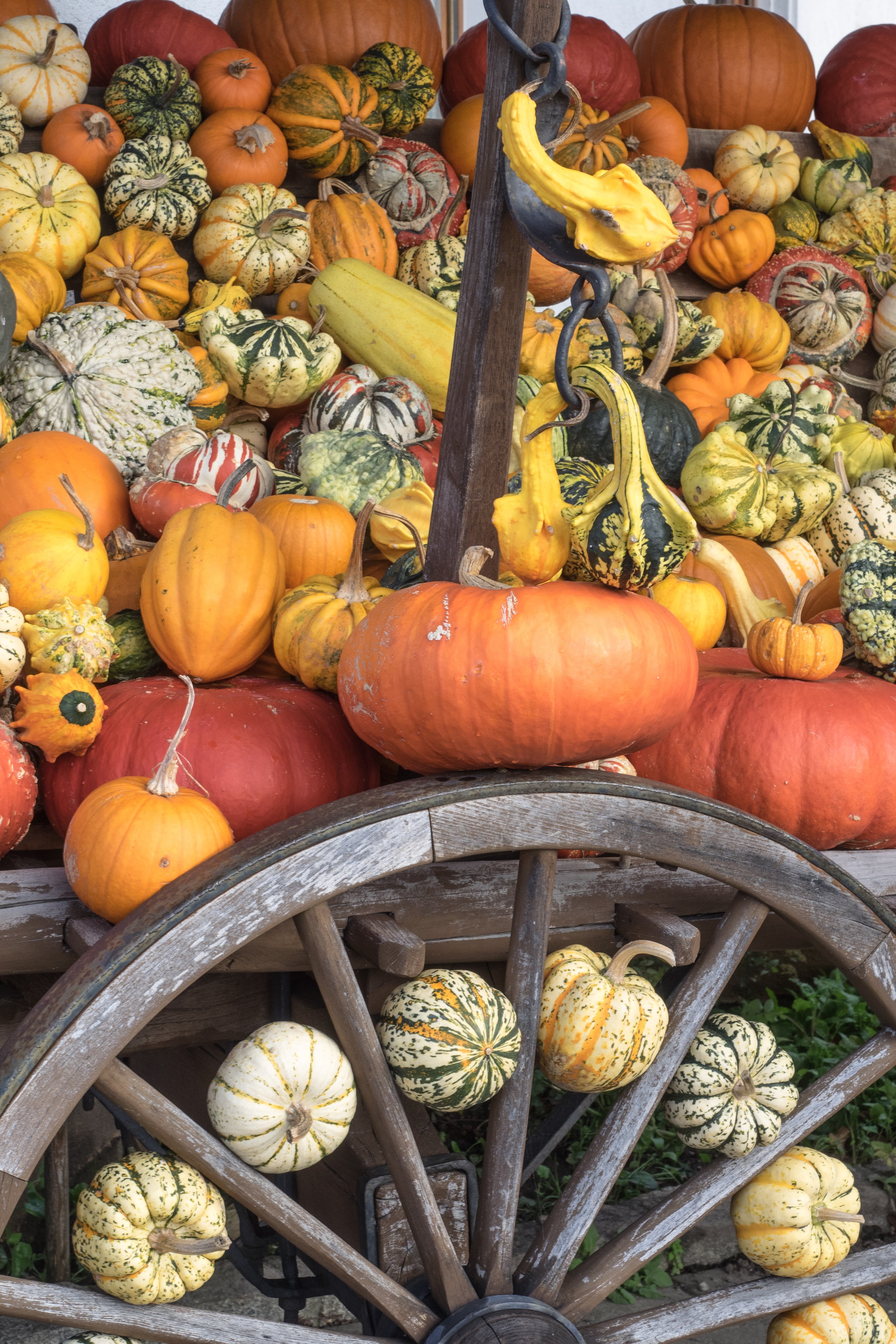 market, choose, eat, day, food and drink, dark green, high angle view, freshness, frisch, seasonal, autumn, vegetable, retail display, orange color, wellbeing, Phone HD Wallpaper