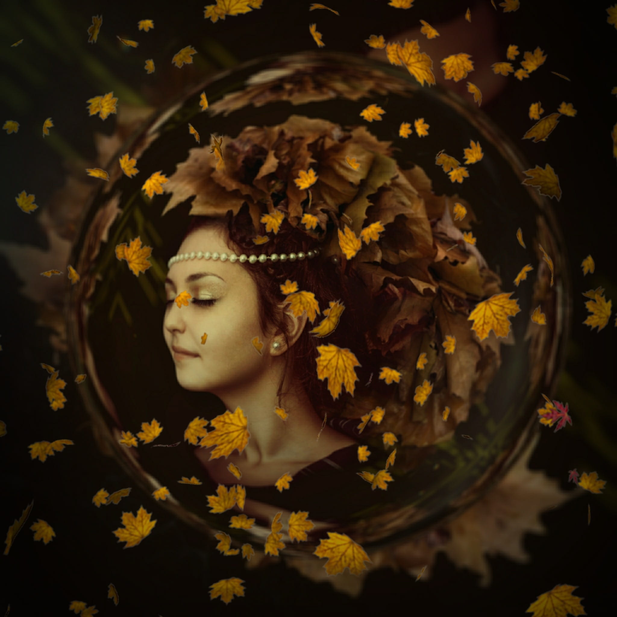 face, bol, yellow, front view, day, portrait, vulnerability, glass, woman, orange, flower, flowering plant, freshness, fragility, autumn, no people, 1080P, Phone HD Wallpaper