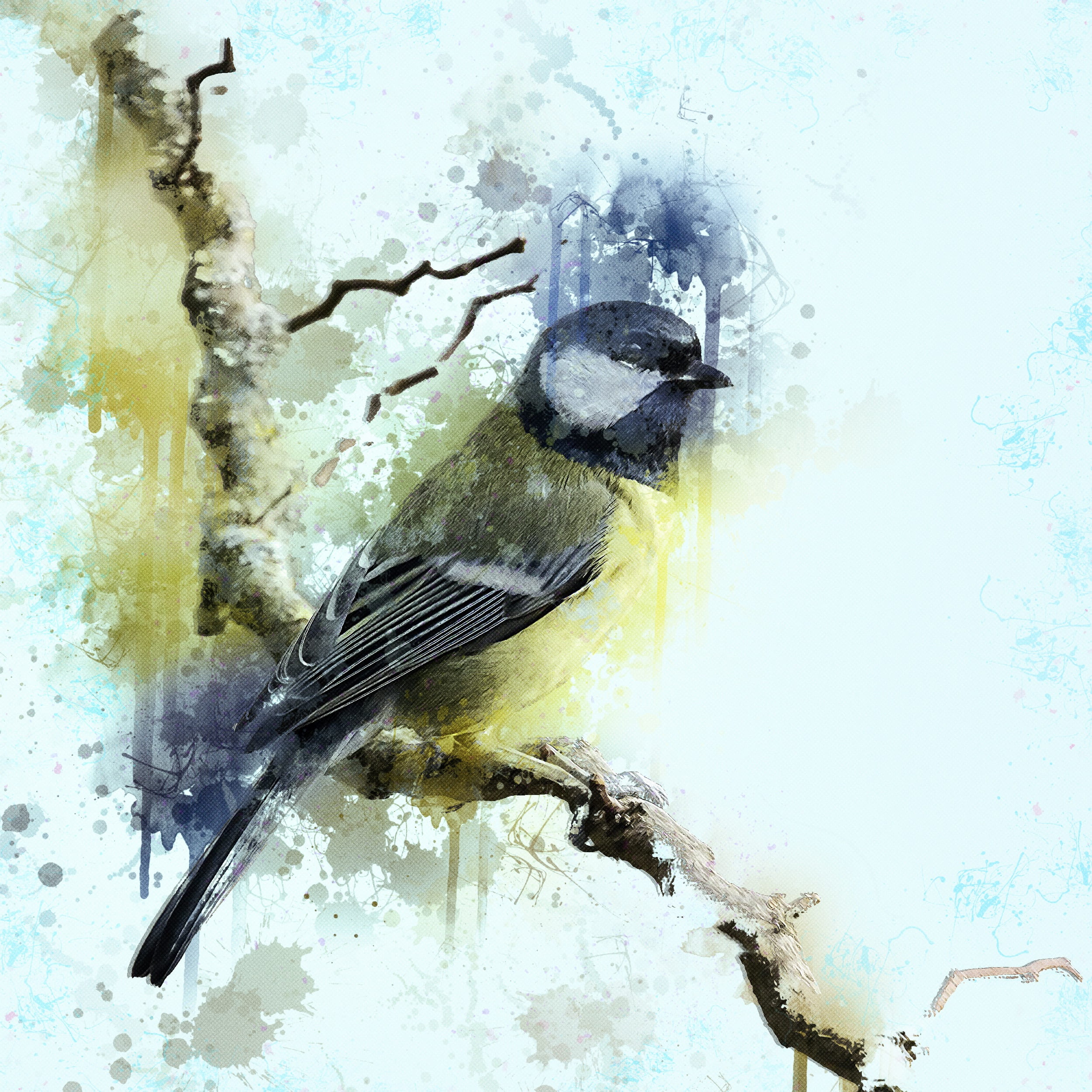 high angle view, animal wildlife, gray, animal themes, outdoors, tit, water, vertebrate, great tit, wildlife, ornithology, photo art, no people, dirt, painting, Phone HD Wallpaper
