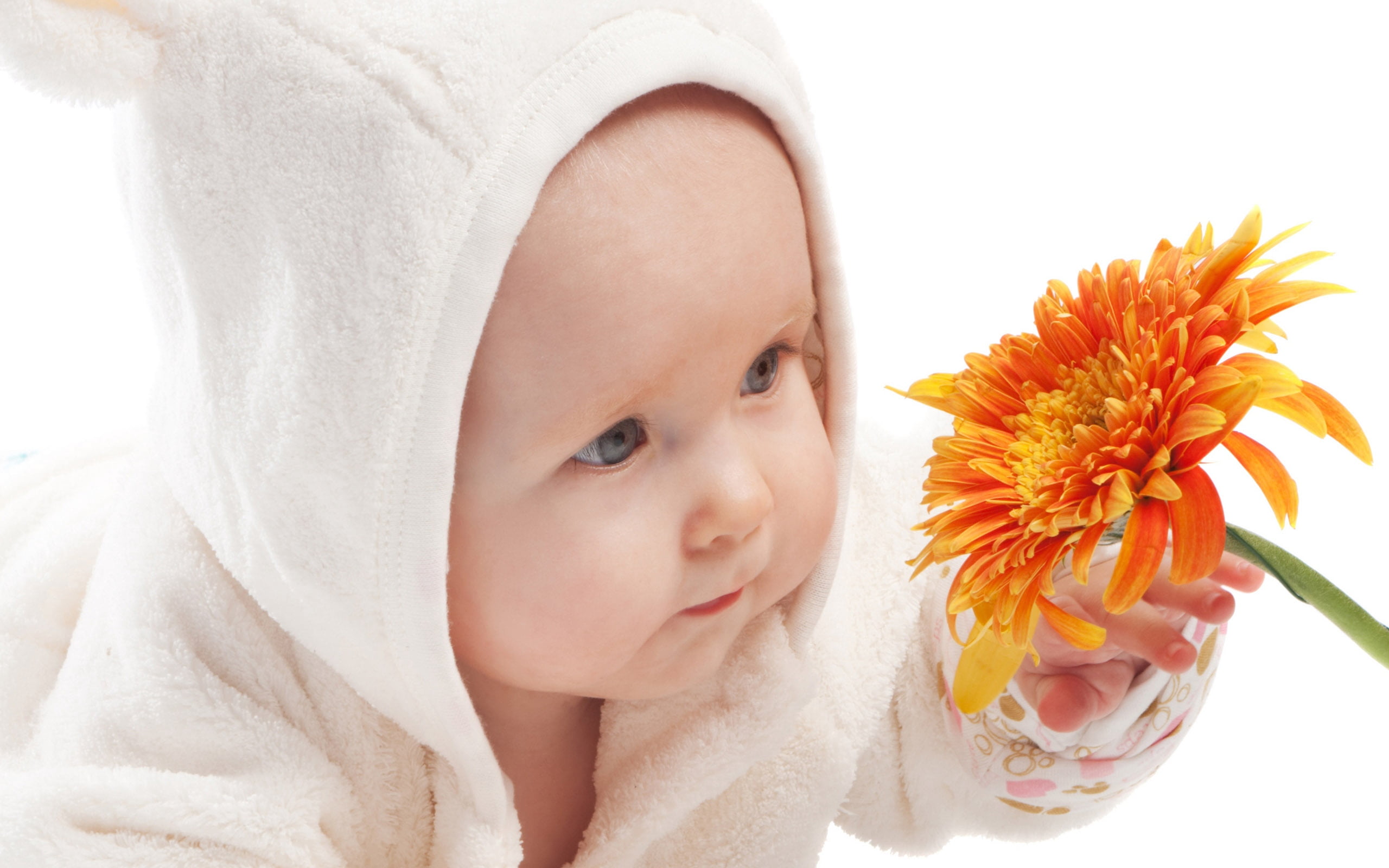 boys, hooded, body part, s, beauty, plant, caucasian Ethnicity, baby, care, human Face, close-up, beauty in nature, 2K, women, childhood, freshness, baby Girls, HD Wallpaper