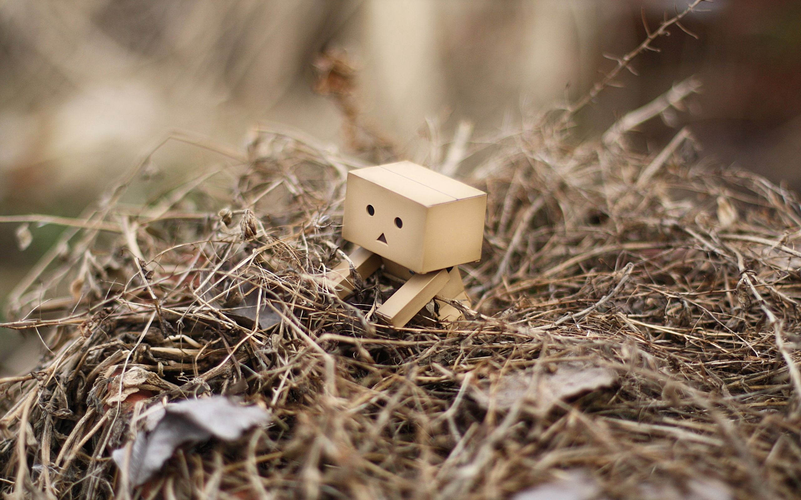 selective focus, animal Nest, toy, close-up, twig, mansion, creativity, straw, house, wood - Material, curiosity, grass, dry, cardboard, plant, danbo, small, HD Wallpaper