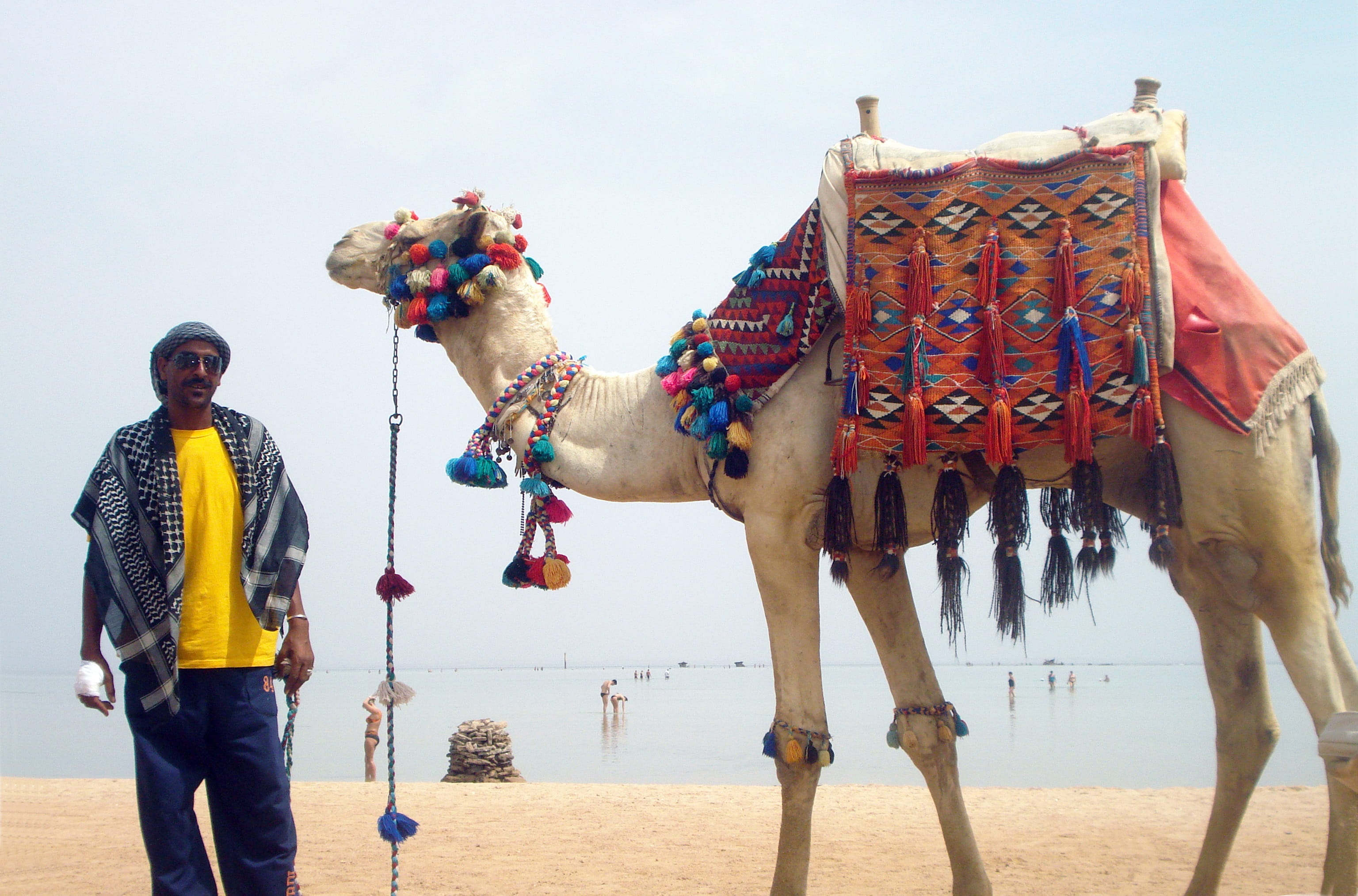 day, journey, travel Locations, mammal, adult, desert, Camel, animals And Pets, beach, sand, travel Destinations, sky, india, water, 2K, tourism, people, HD Wallpaper
