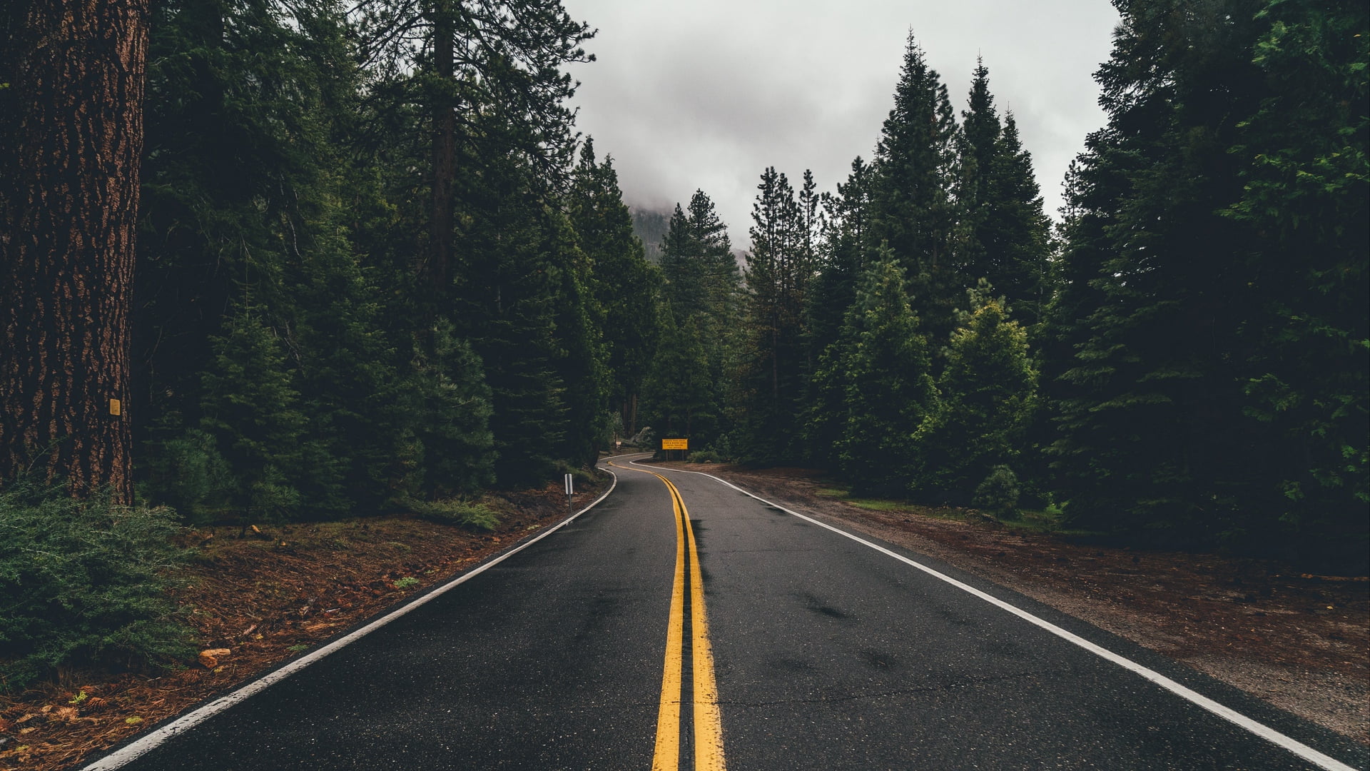 1080P, Man Made, Road, Forest, HD Wallpaper