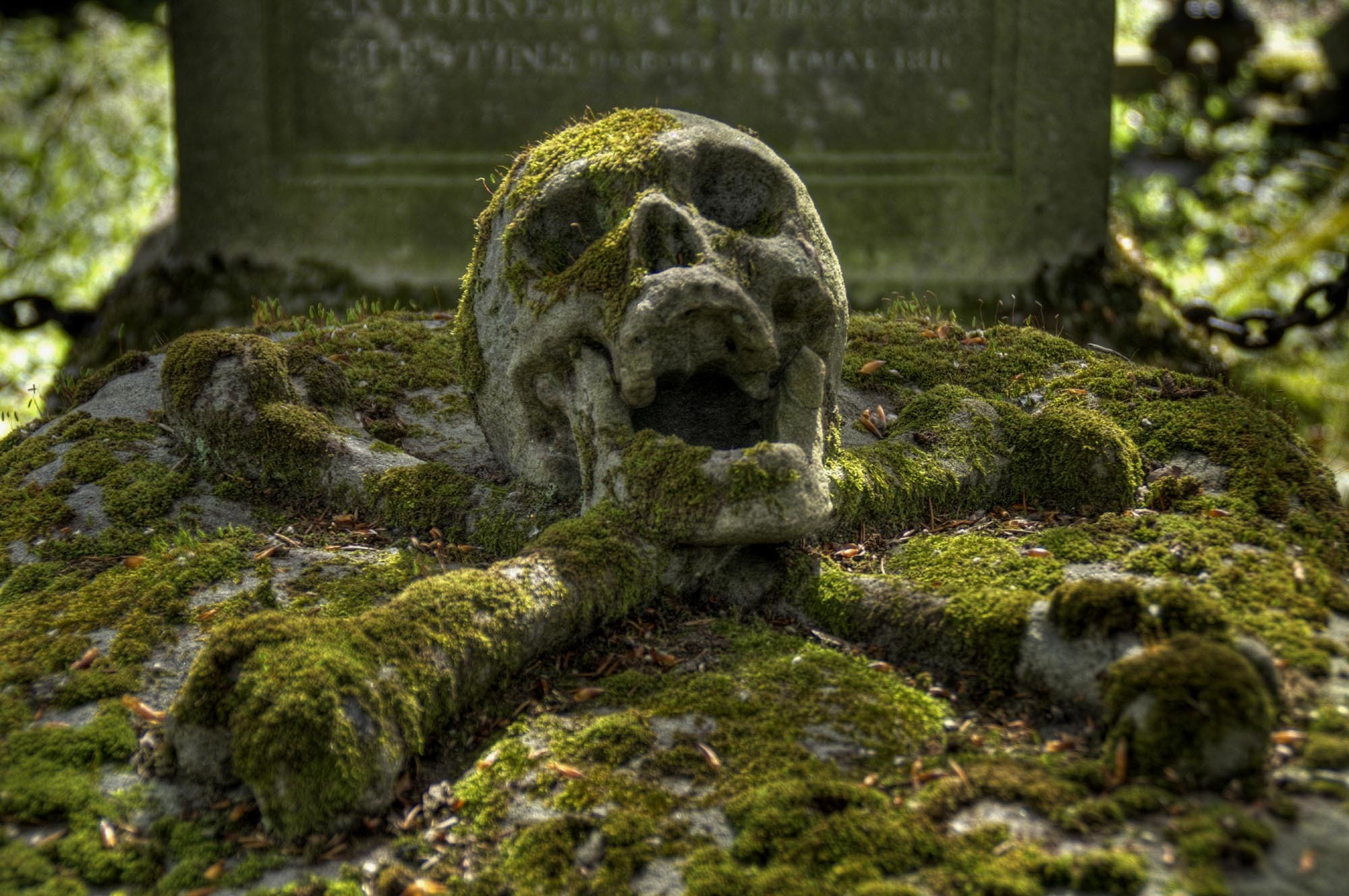 grave, bones, 1080P, skull, HD Wallpaper