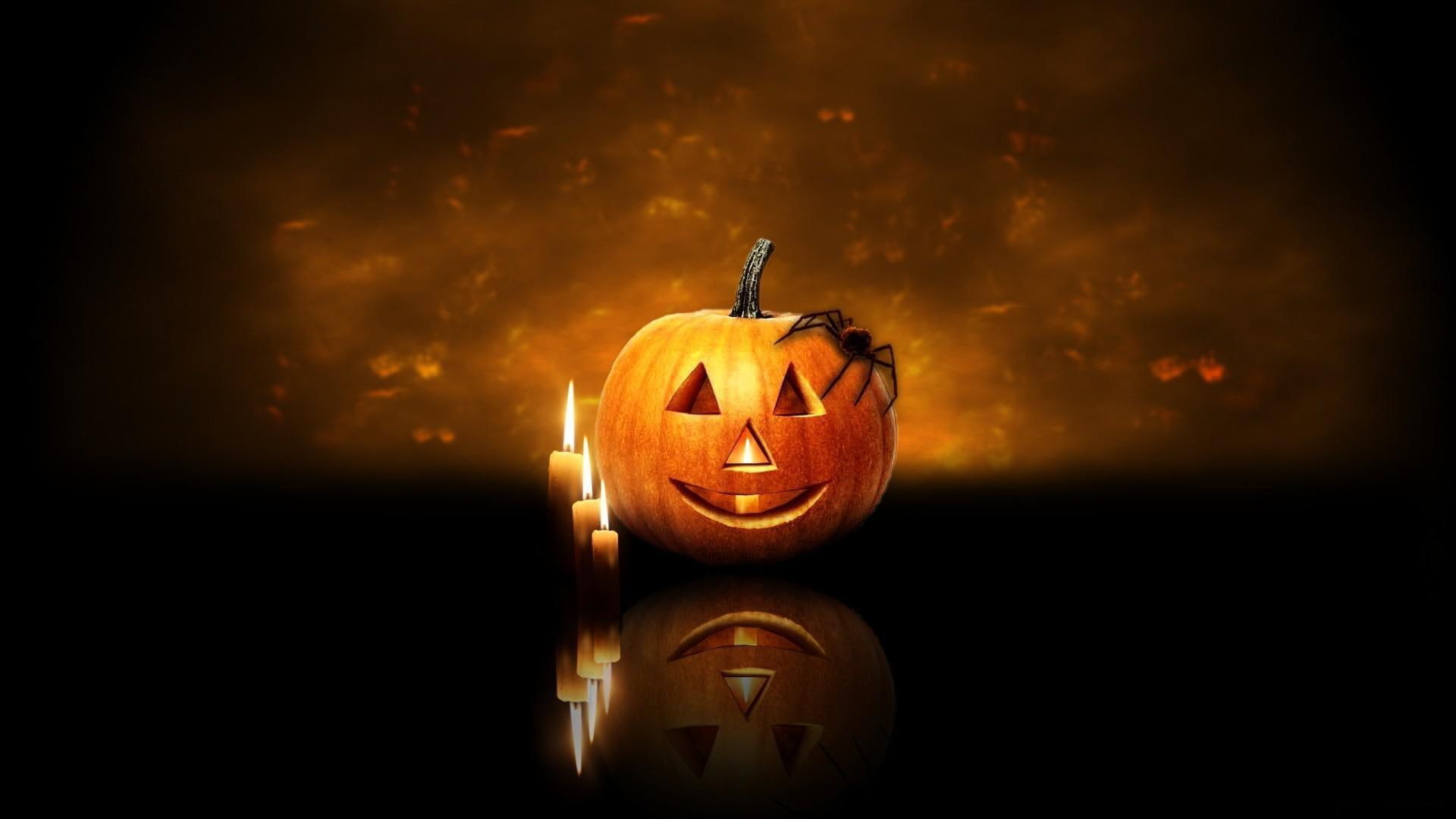 pumpkins, holiday, candles, spider, darkness, halloween, 1080P, HD Wallpaper