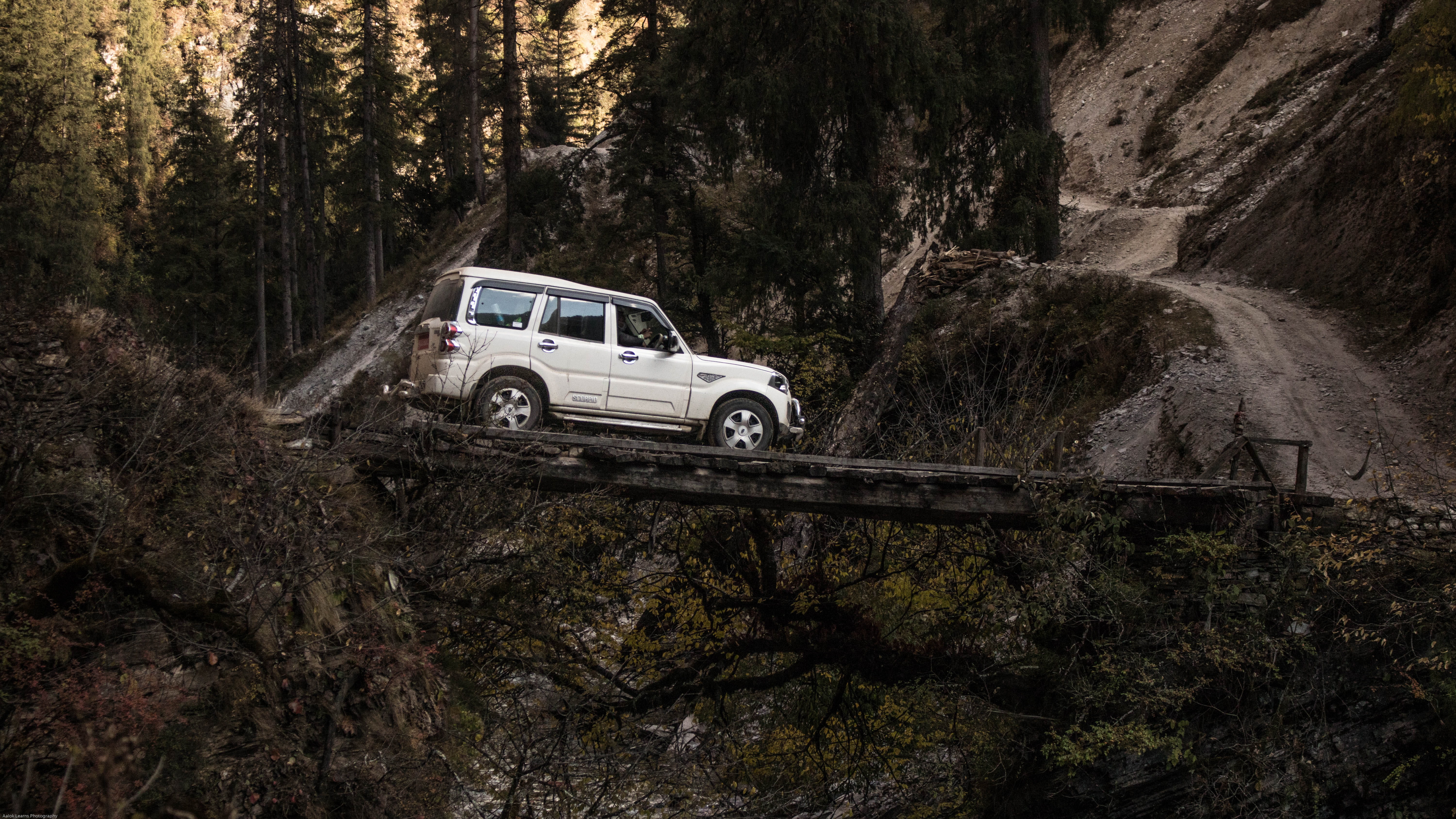 plant, daytime, ditch, tranquility, non-urban scene, forest, sports utility vehicle, tire, suv, wheel, travel, mode of transportation, motor vehicle, bridge, HD Wallpaper