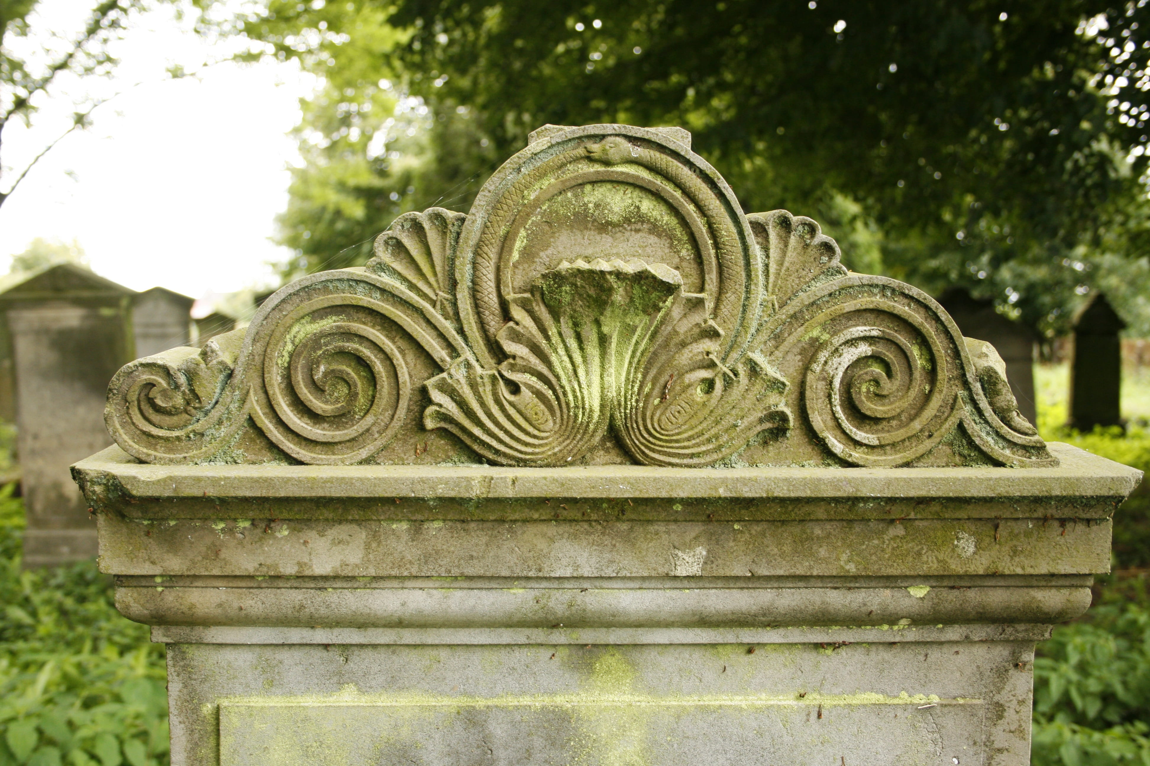 necropolis, day, religion, focus on foreground, floral pattern, art and craft, religious, plant, nature, old cemetery, christianity, grave, built structure, HD Wallpaper