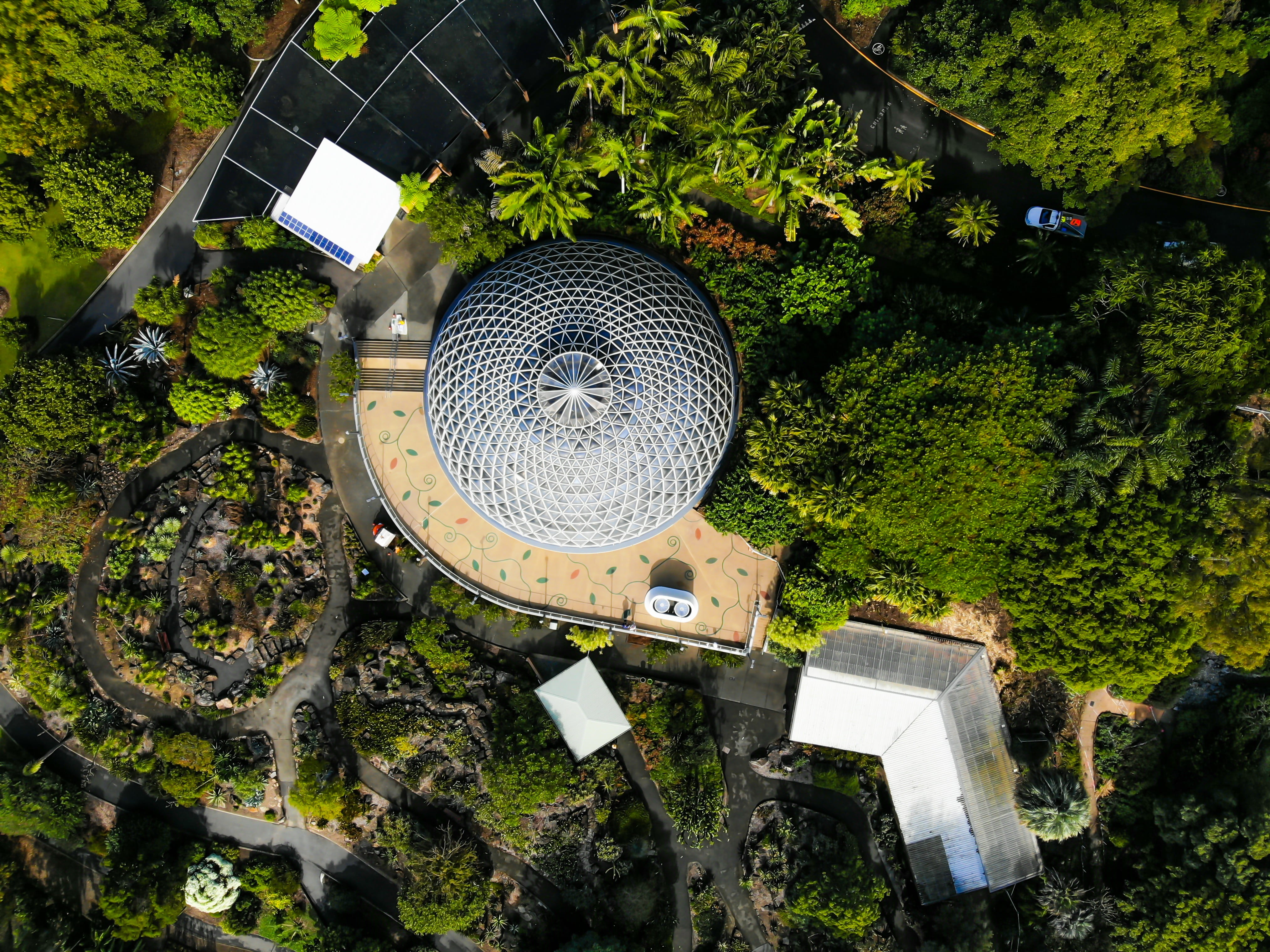 tree, growth, lighting equipment, no people, abandoned, built structure, dome, bonsai, photography, garden, forest, gray, metal, directly above, architecture, HD Wallpaper