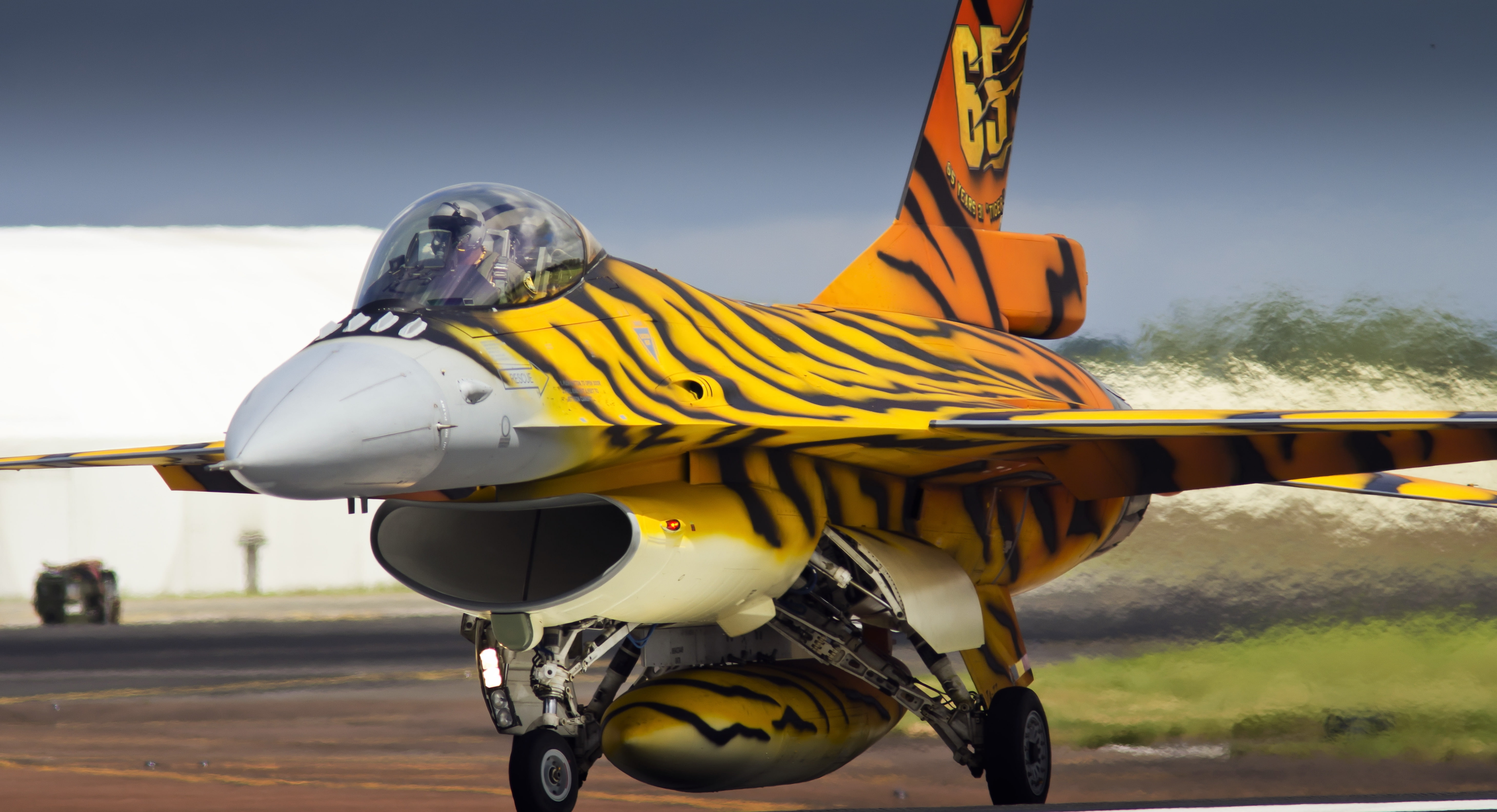 mammal, motion, nature, sky, 5K, General Dynamics F-16 Fighting Falcon, 5K, domestic, close-up, animal representation, Belgian Air Component, air vehicle, HD Wallpaper