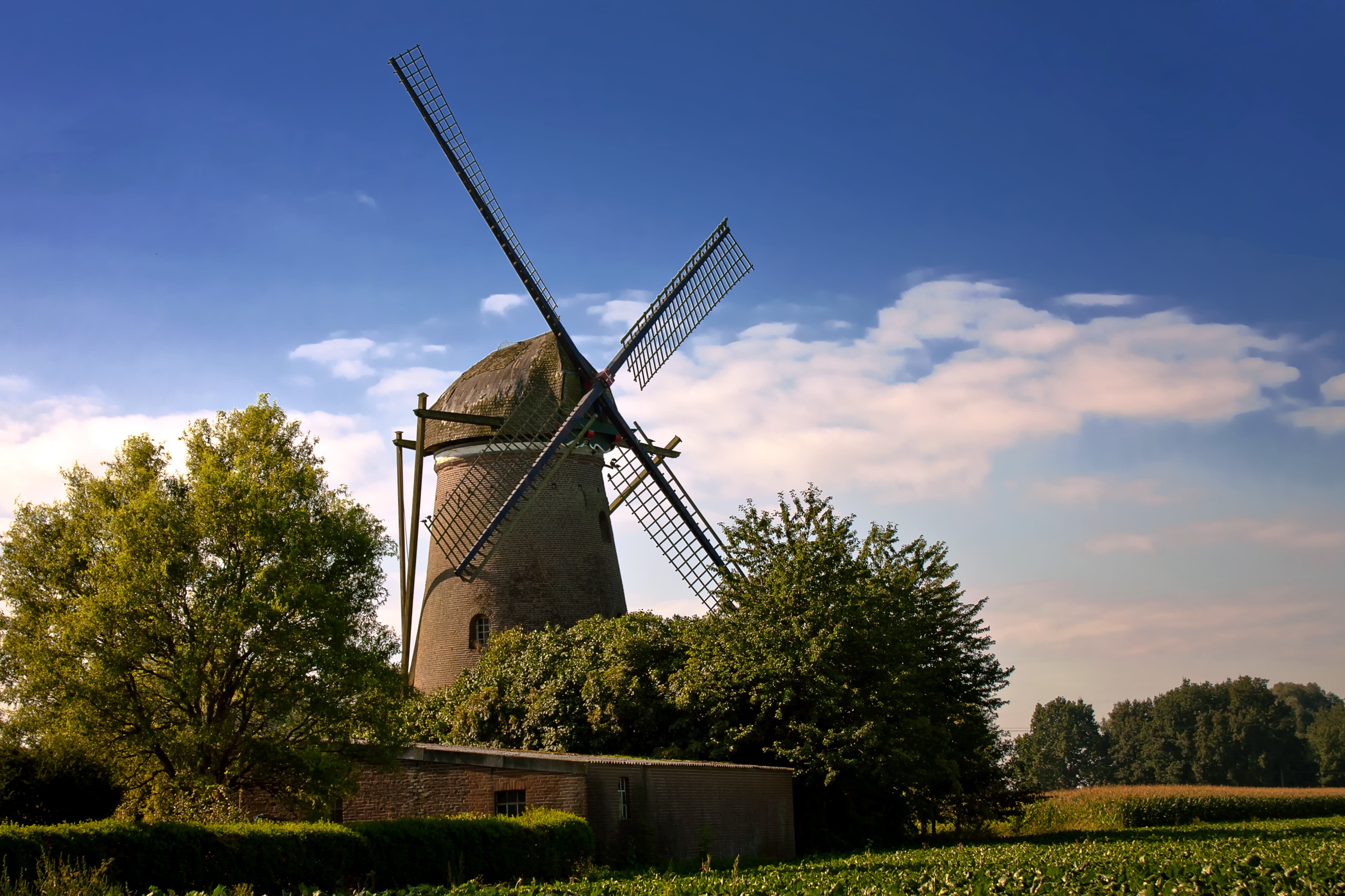 environment, fuel and power generation, bread, müller, land, history, rural Scene, field, no people, nature, outdoors, wind turbine, cloud - sky, turbine, HD Wallpaper