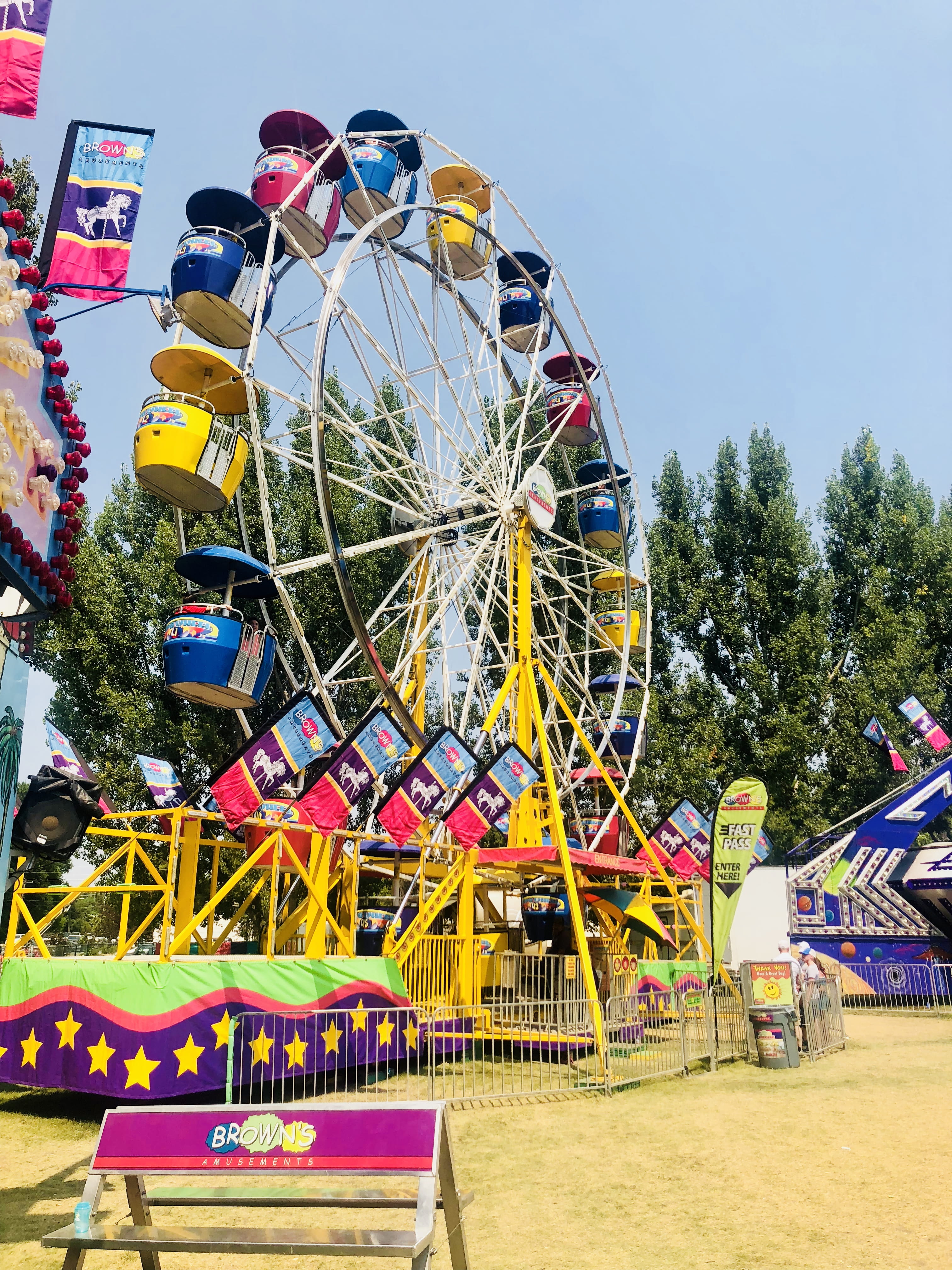 county fair, adam winger logan utah, low angle view, carnival, ferris wheel, plant, outdoors, fun, nature, day, tree, incidental people, built structure, Phone HD Wallpaper