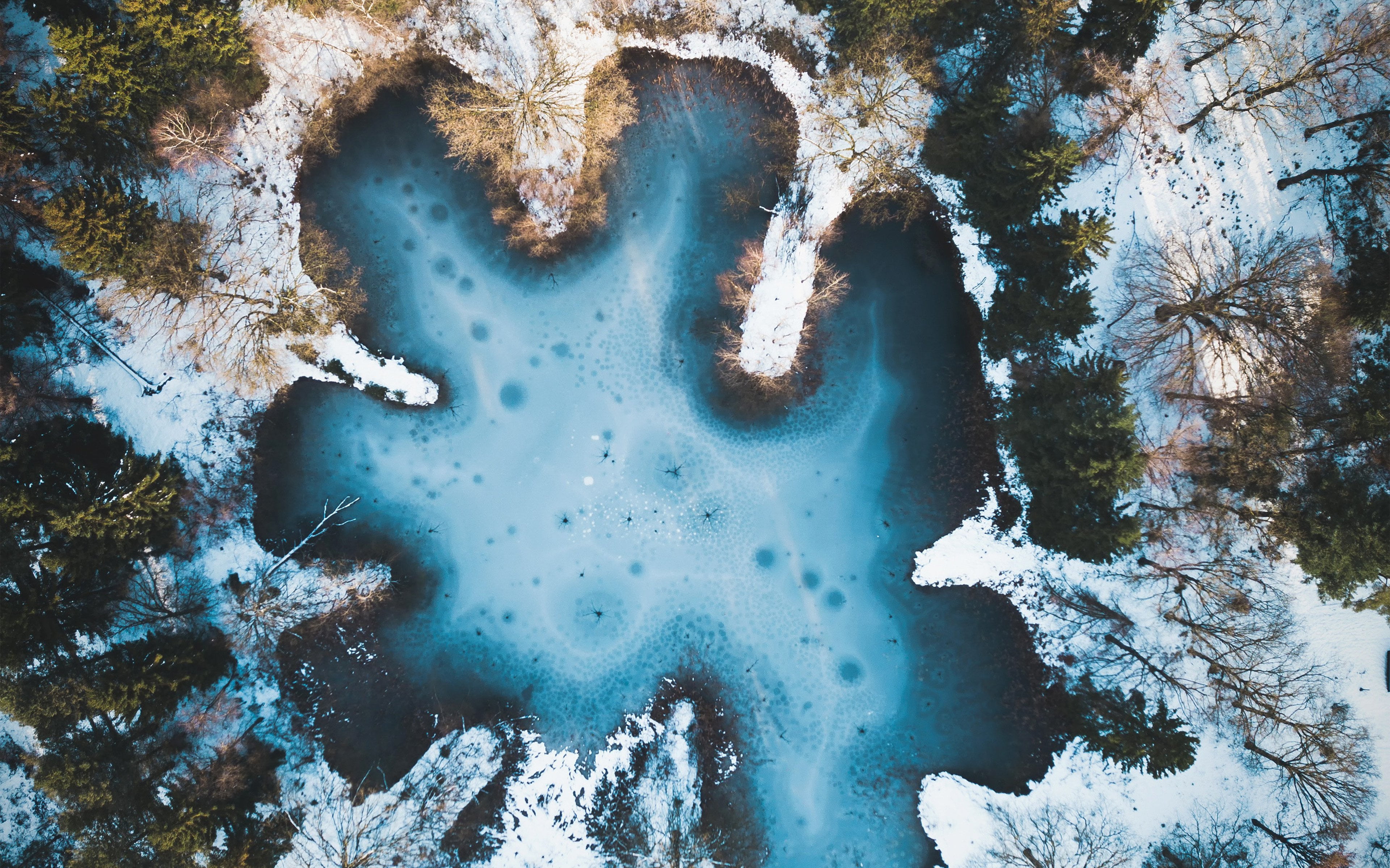 4K, frozen, growth, day, winger, snow, plant, no people, tranquility, covering, water, tree, forest, scenics - nature, cold temperature, winter, non-urban scene, HD Wallpaper
