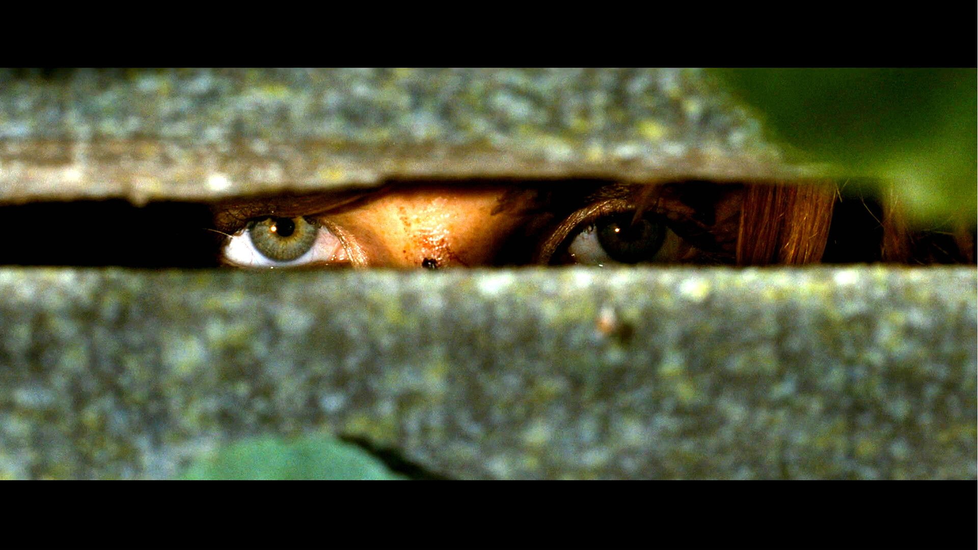 1080P, eden lake, horror, eden, dark, thriller, lake, HD Wallpaper