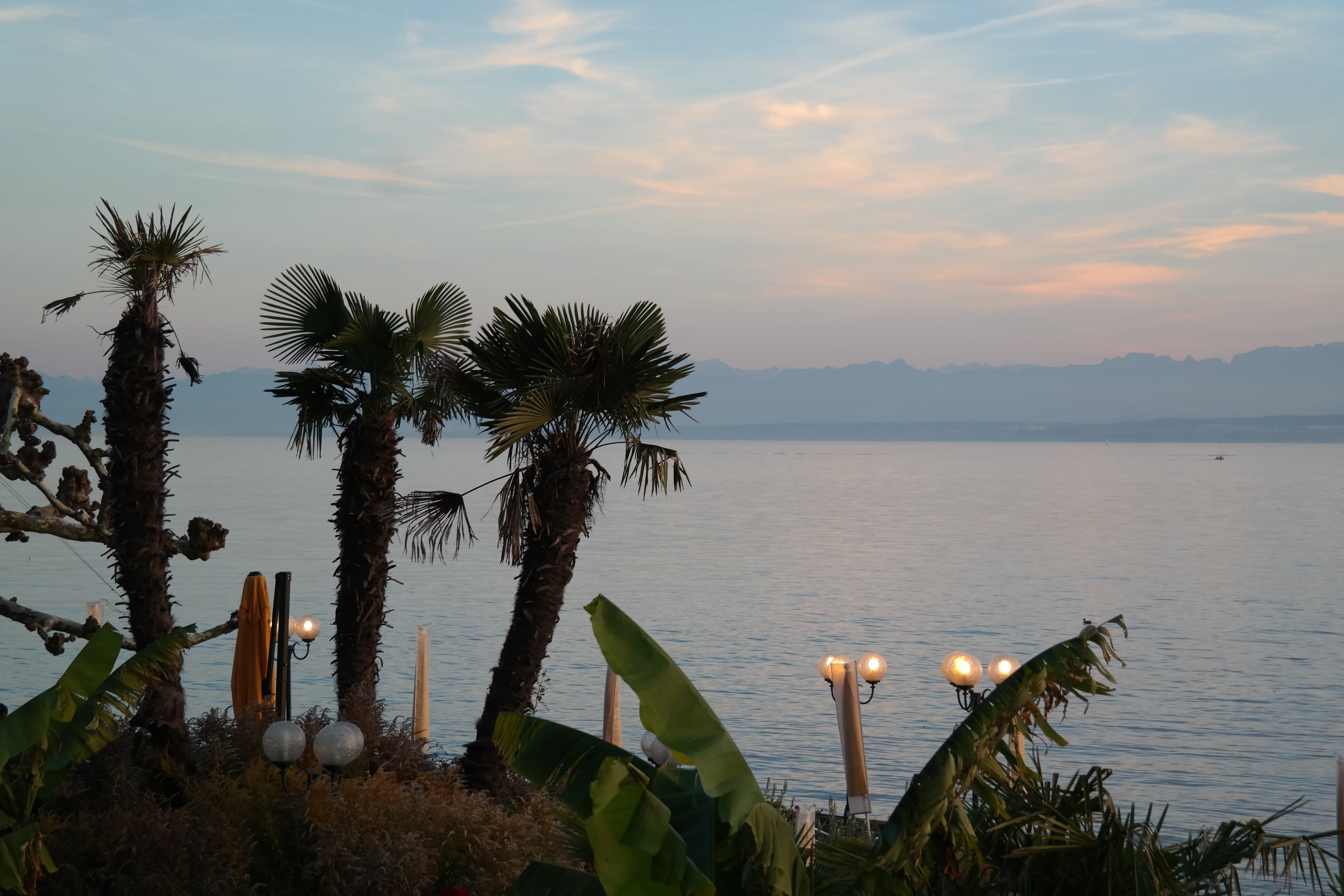 travel Locations, non-urban scene, scenics - nature, tranquility, alpine, beauty in nature, no people, idyllic, 5K, palm Tree, tree, sky, Meersburg, water, HD Wallpaper