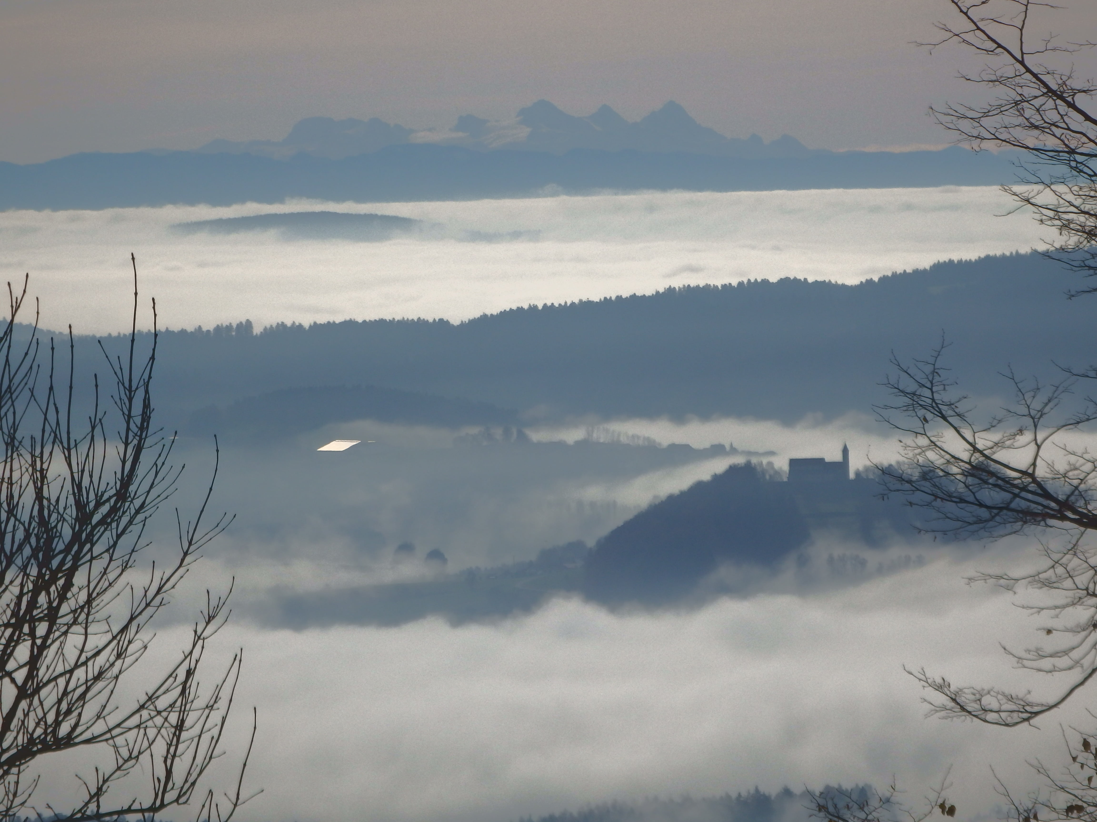 plant, landscape, scenics, nature, bavaria, tranquility, cloud - sky, bare tree, foresight, hazy, view, alpenblick, outdoors, silhouette, mountain, panorama, HD Wallpaper