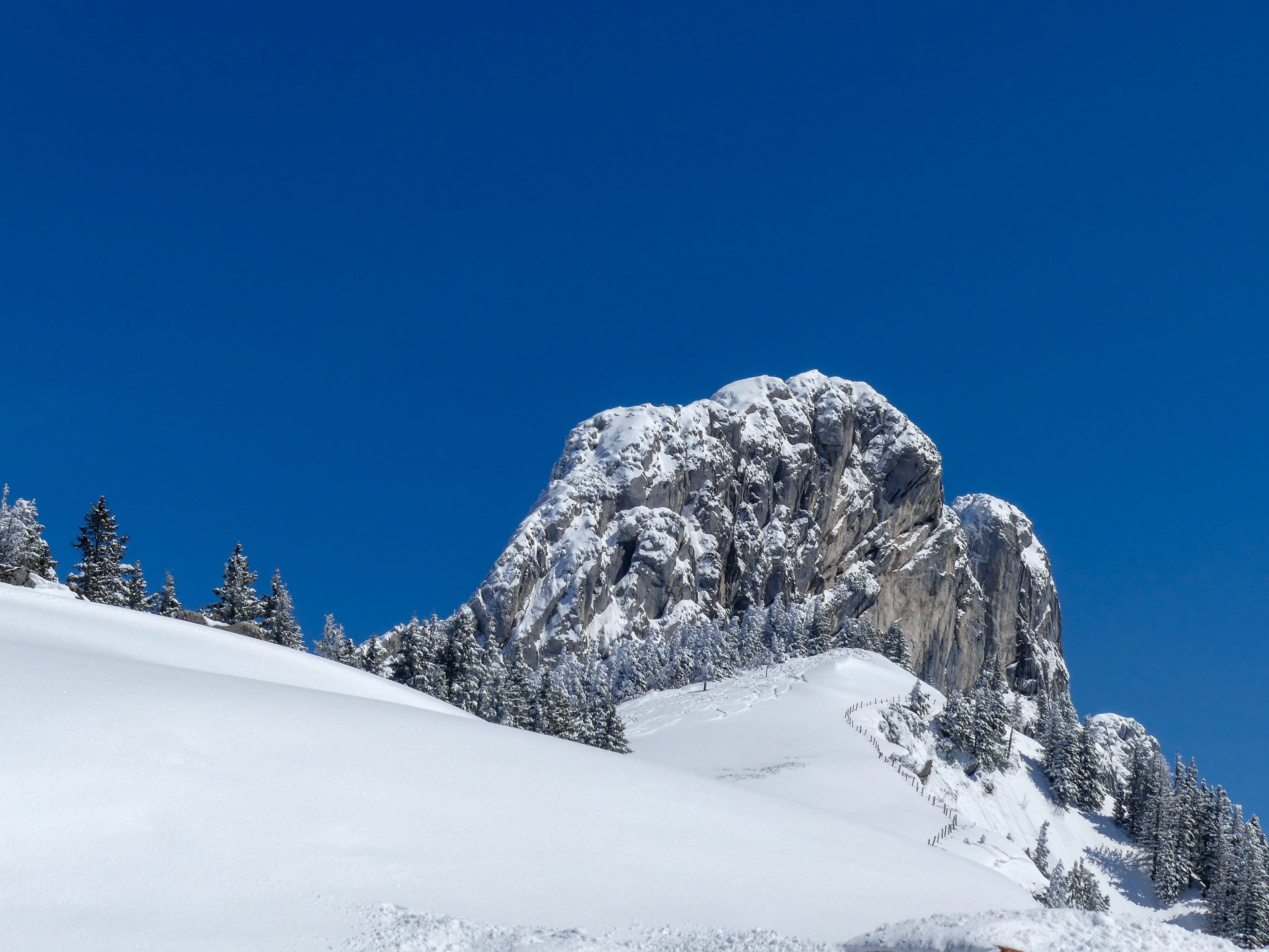 cold temperature, no people, tranquil scene, alpenblick, extreme weather, mountains, alpine, pine tree, nature, day, winter, coniferous tree, mountain peak, HD Wallpaper