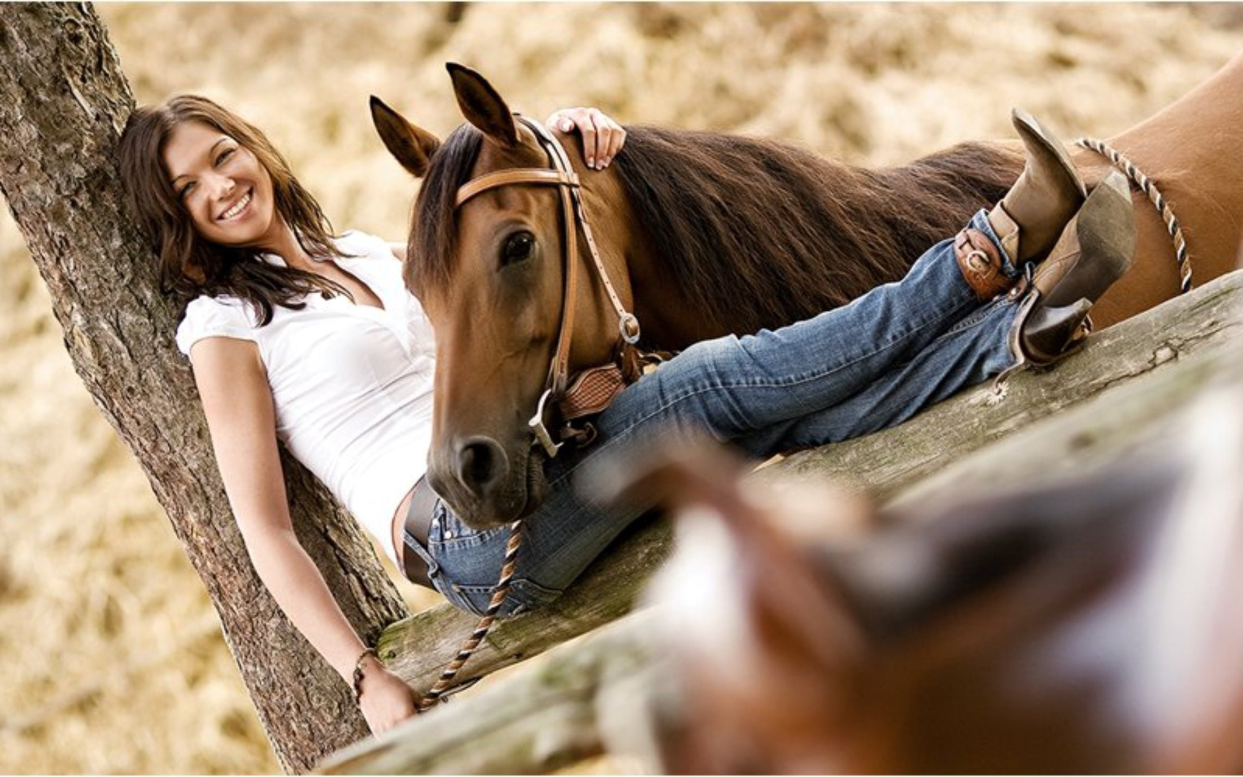fence, female, woman, saddle, cowgirl, horse, 2K, HD Wallpaper