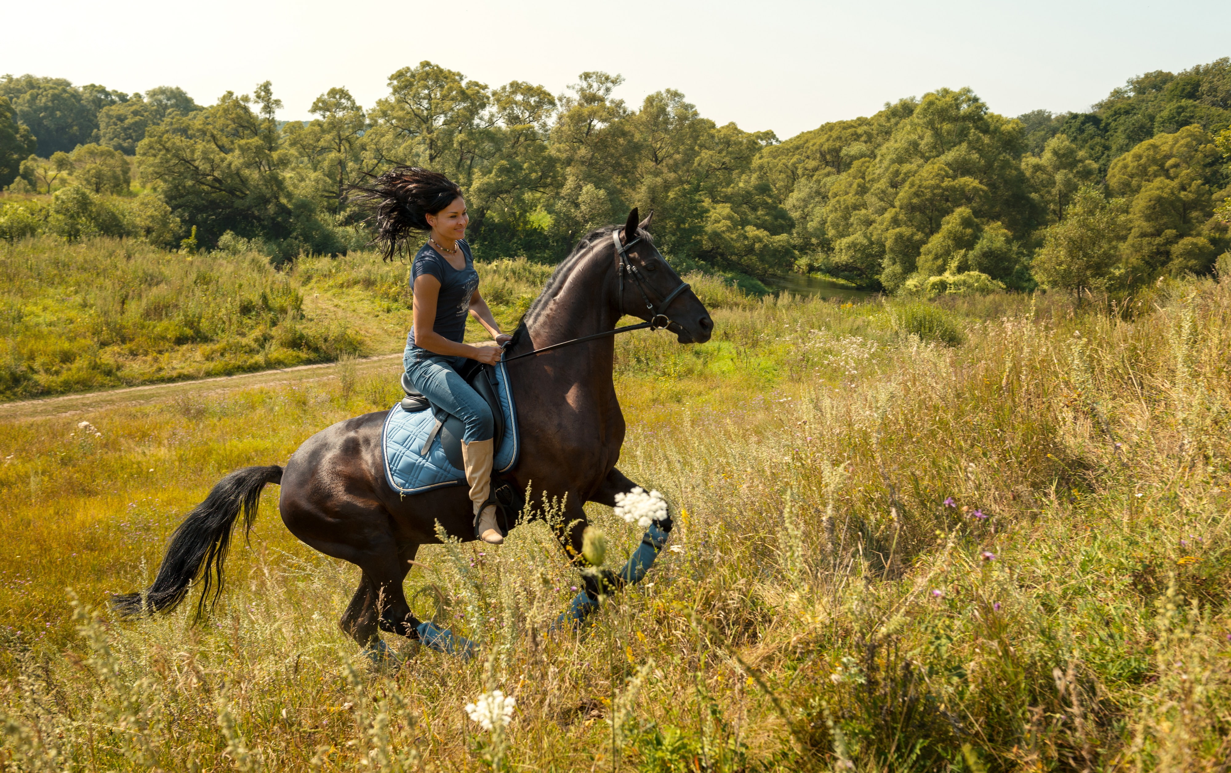 brunette, jeans, saddle, 4K, glade, summer, horse, girl, rider, walk, trees, boots, the sun, Mike, nature, grass, HD Wallpaper