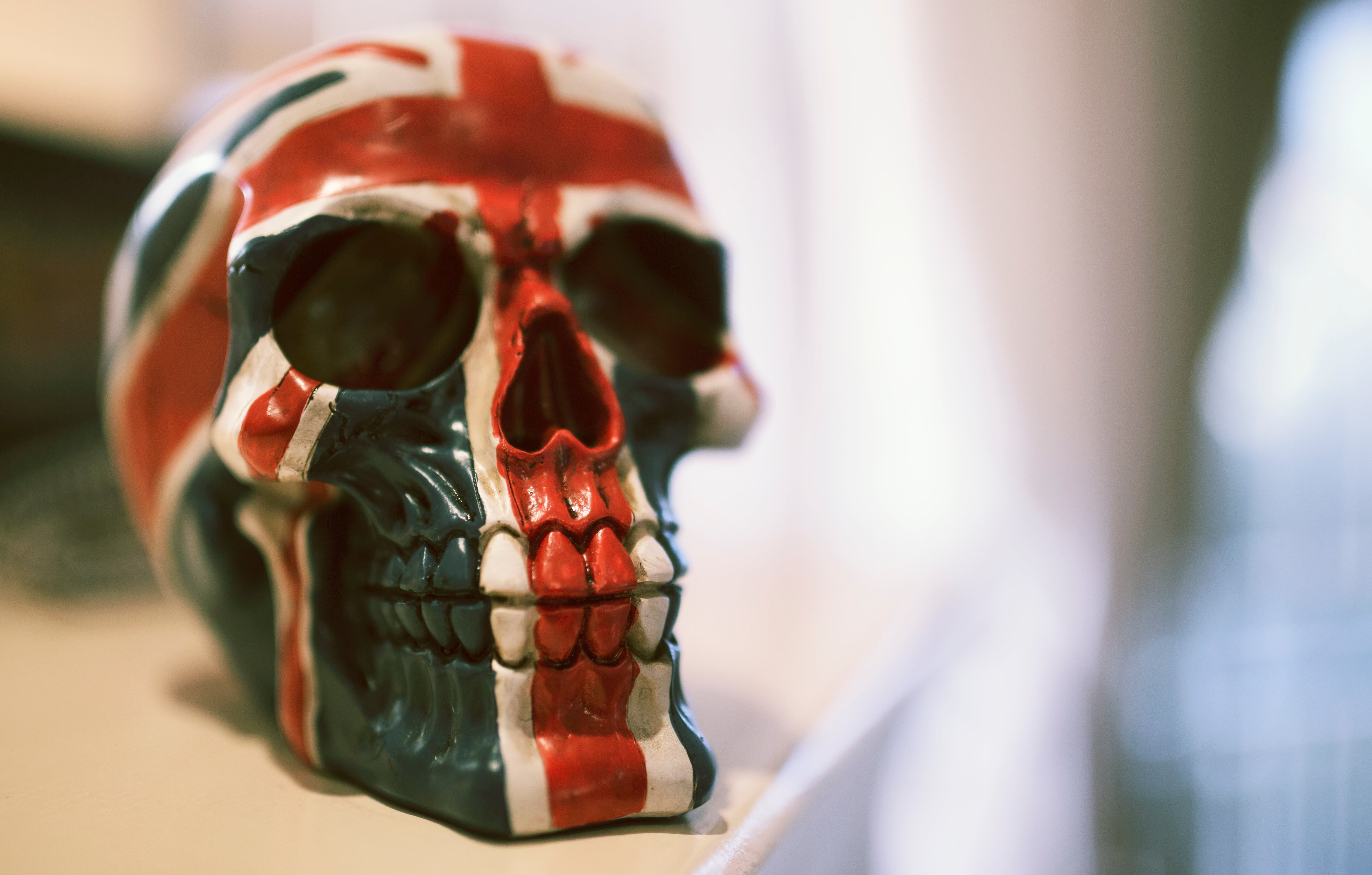focus on foreground, spooky, body part, decor, paint, skull, still life, healthcare and medicine, human bone, close-up, human body part, decoration, bone, HD Wallpaper