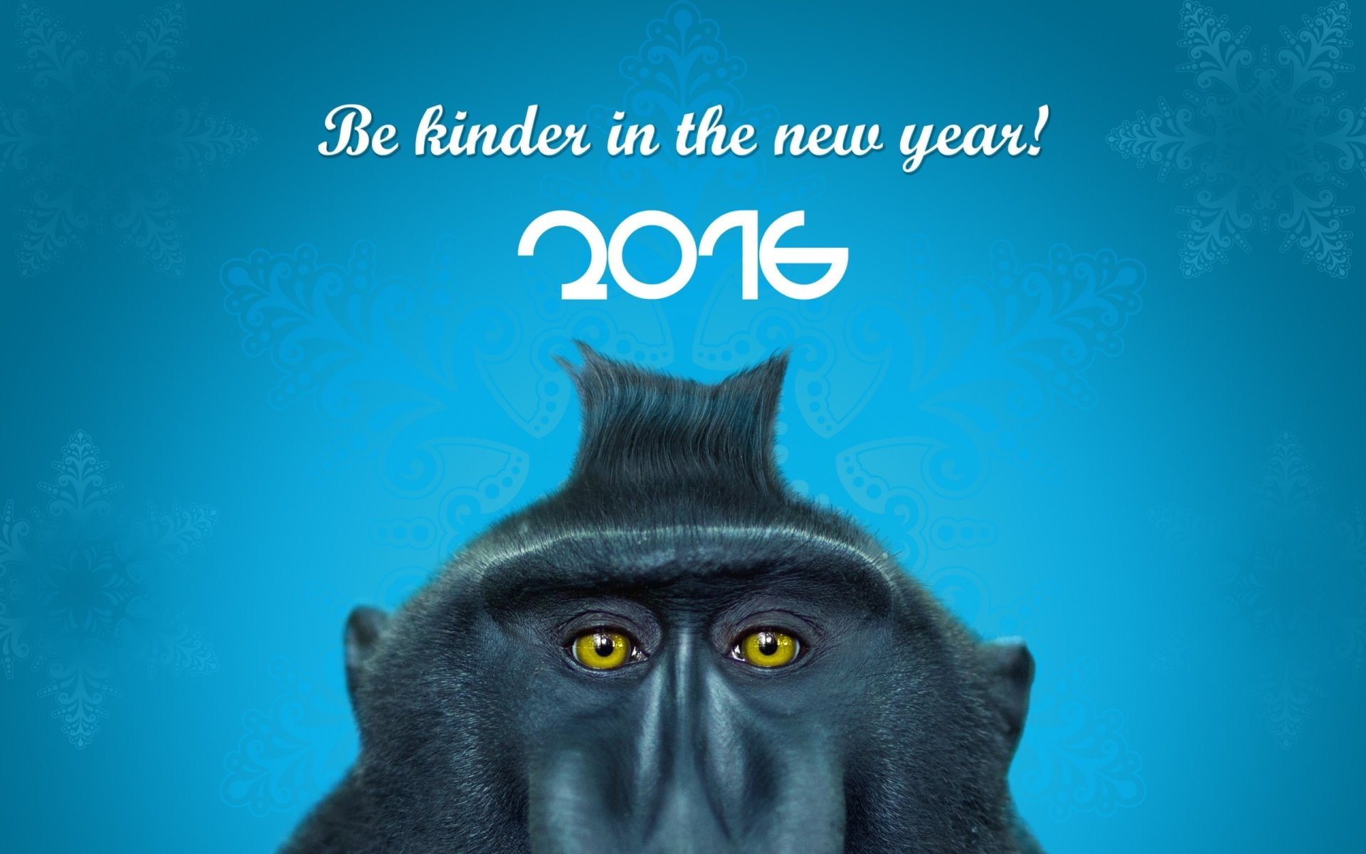 Eye, Baboon, Monkey, Holiday, New Year 2016, 1080P, HD Wallpaper