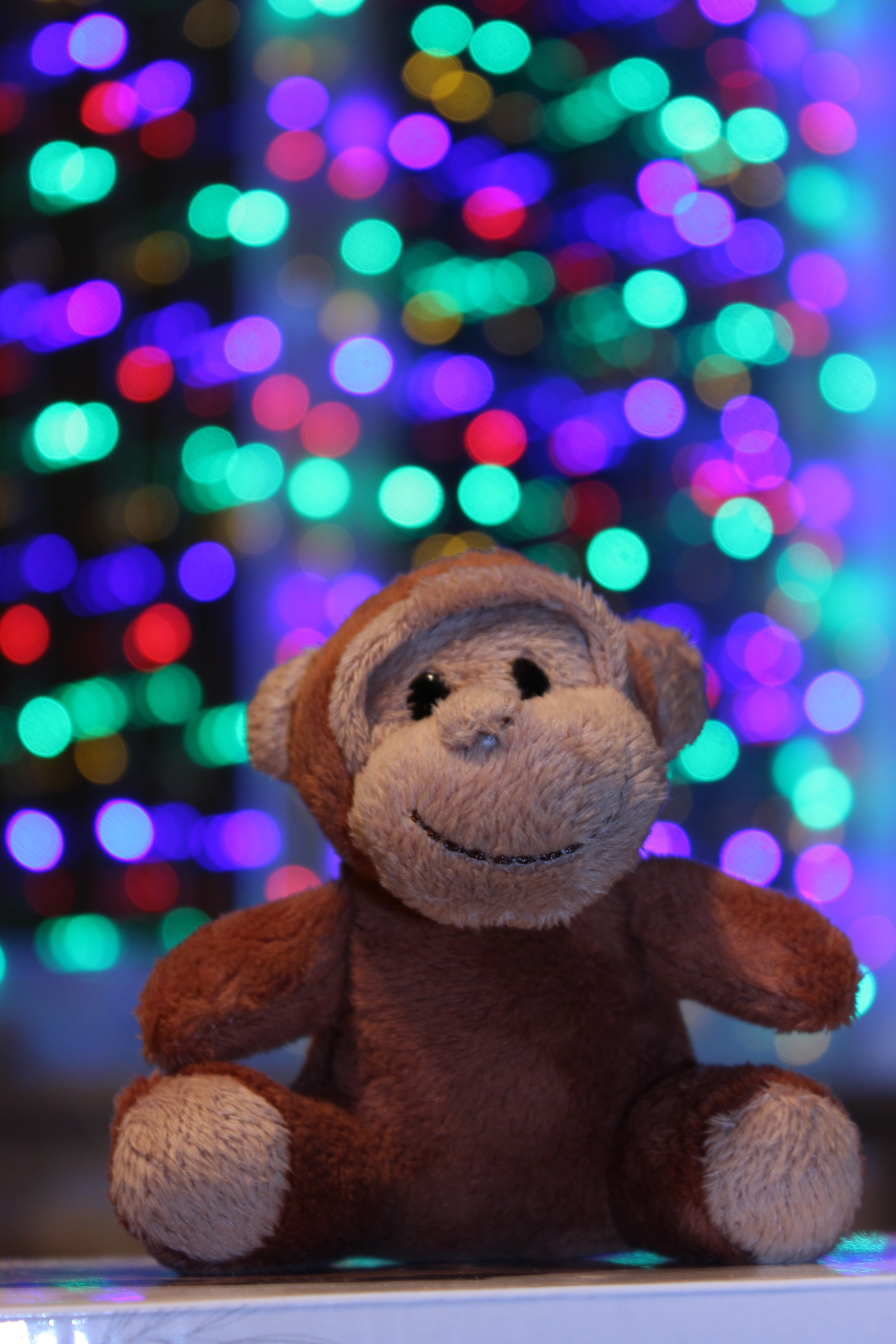 representation, purple, background, animal representation, bokeh, lights, celebrate, no people, brown, plush, focus on foreground, red, indoors, still life, Phone HD Wallpaper