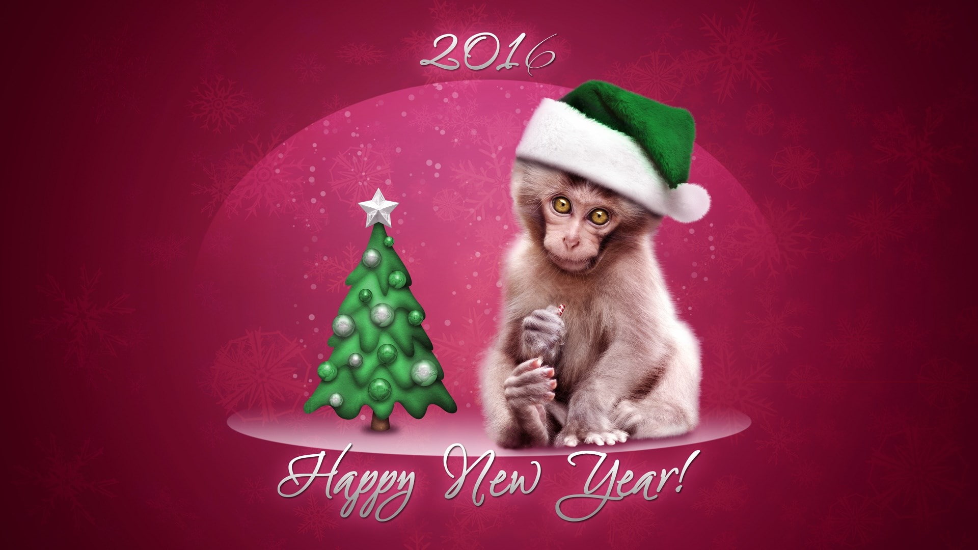 1080P, new year 2016, HD Wallpaper