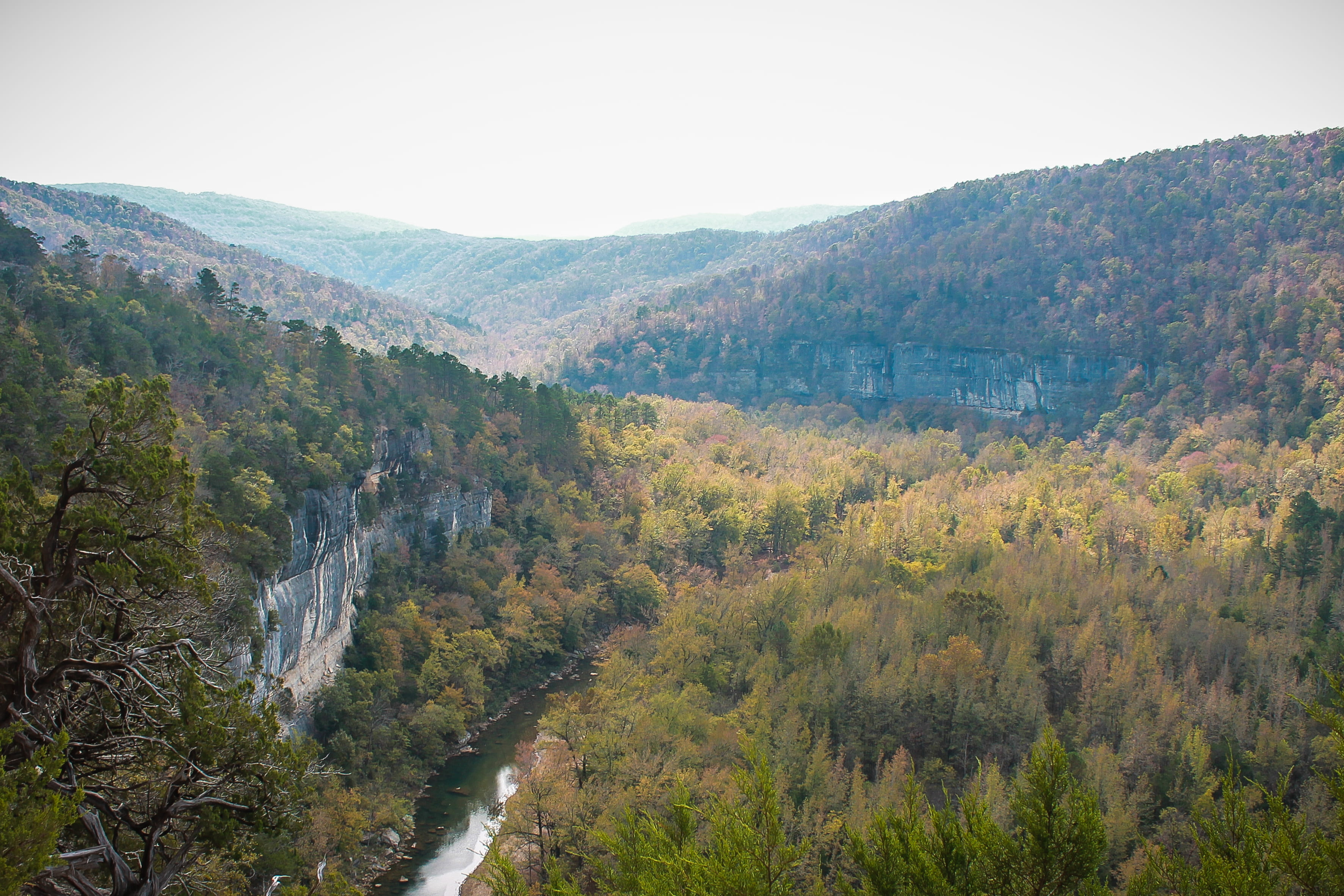 change, summit, tree, high angle view, forest, trees, view, tranquil scene, scenics - nature, arkansas, river, landscape, nature, non-urban scene, beauty in nature, HD Wallpaper