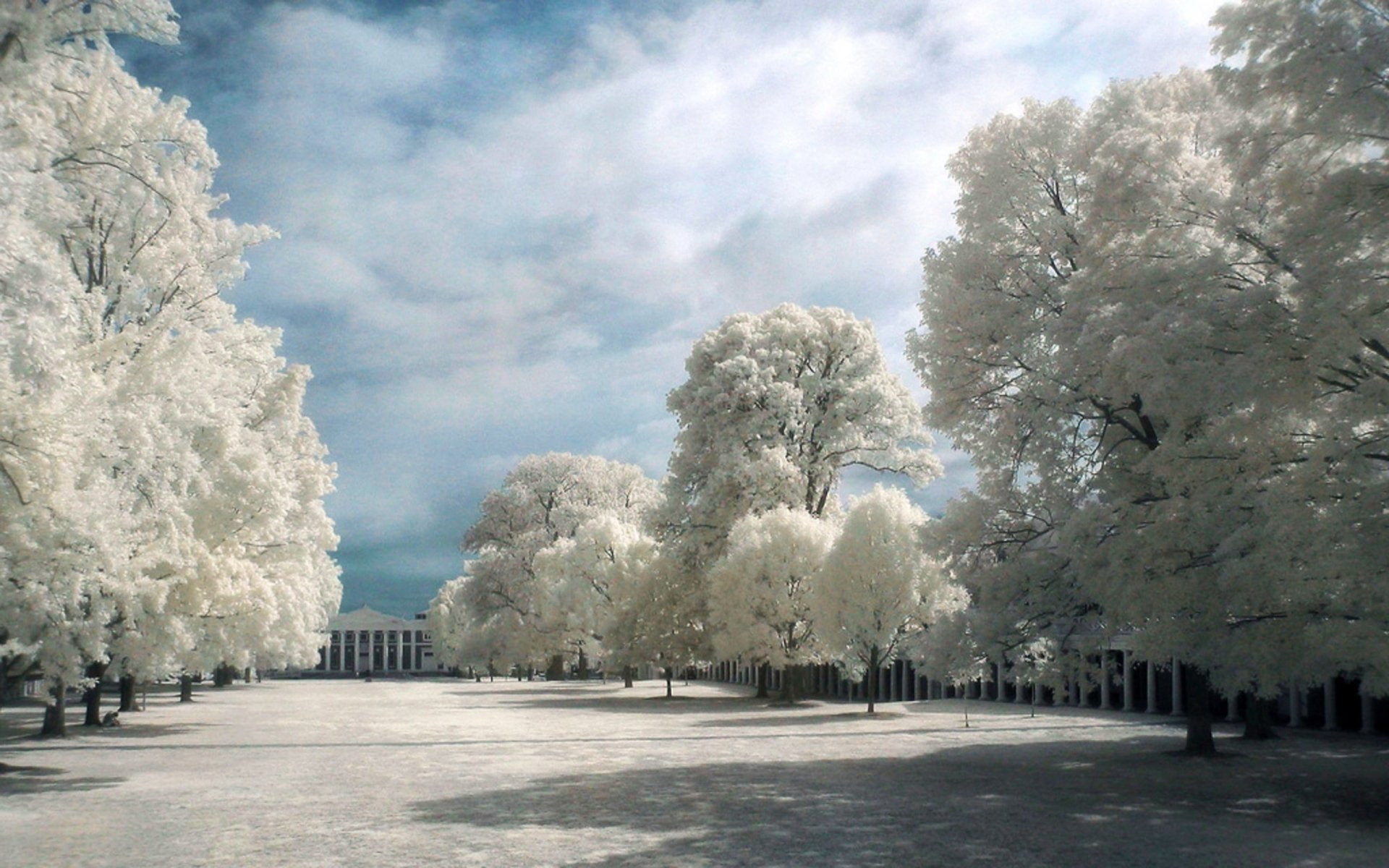 Infrared, Photography, 1080P, HD Wallpaper