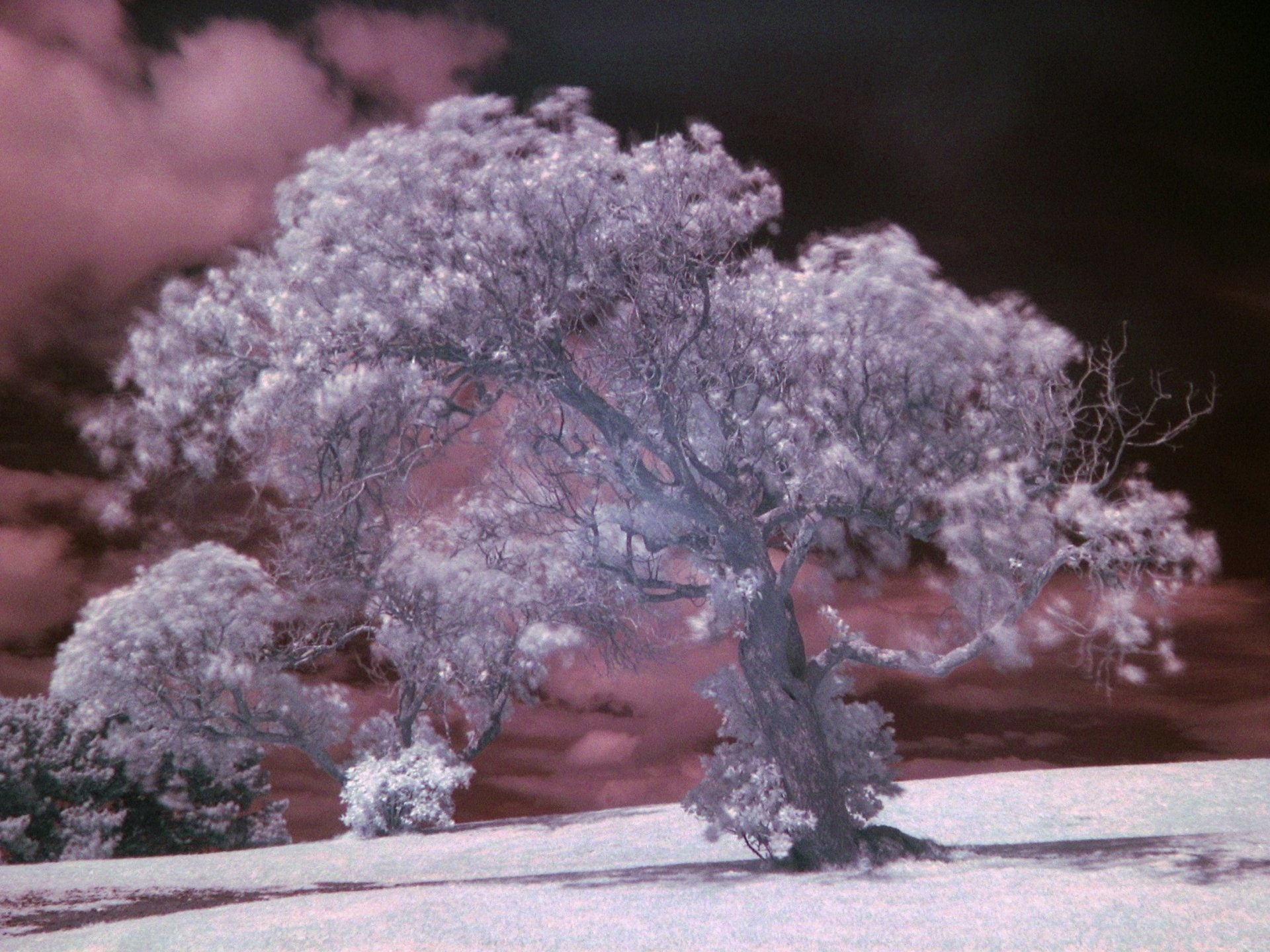 Infrared, 1080P, Photography, HD Wallpaper