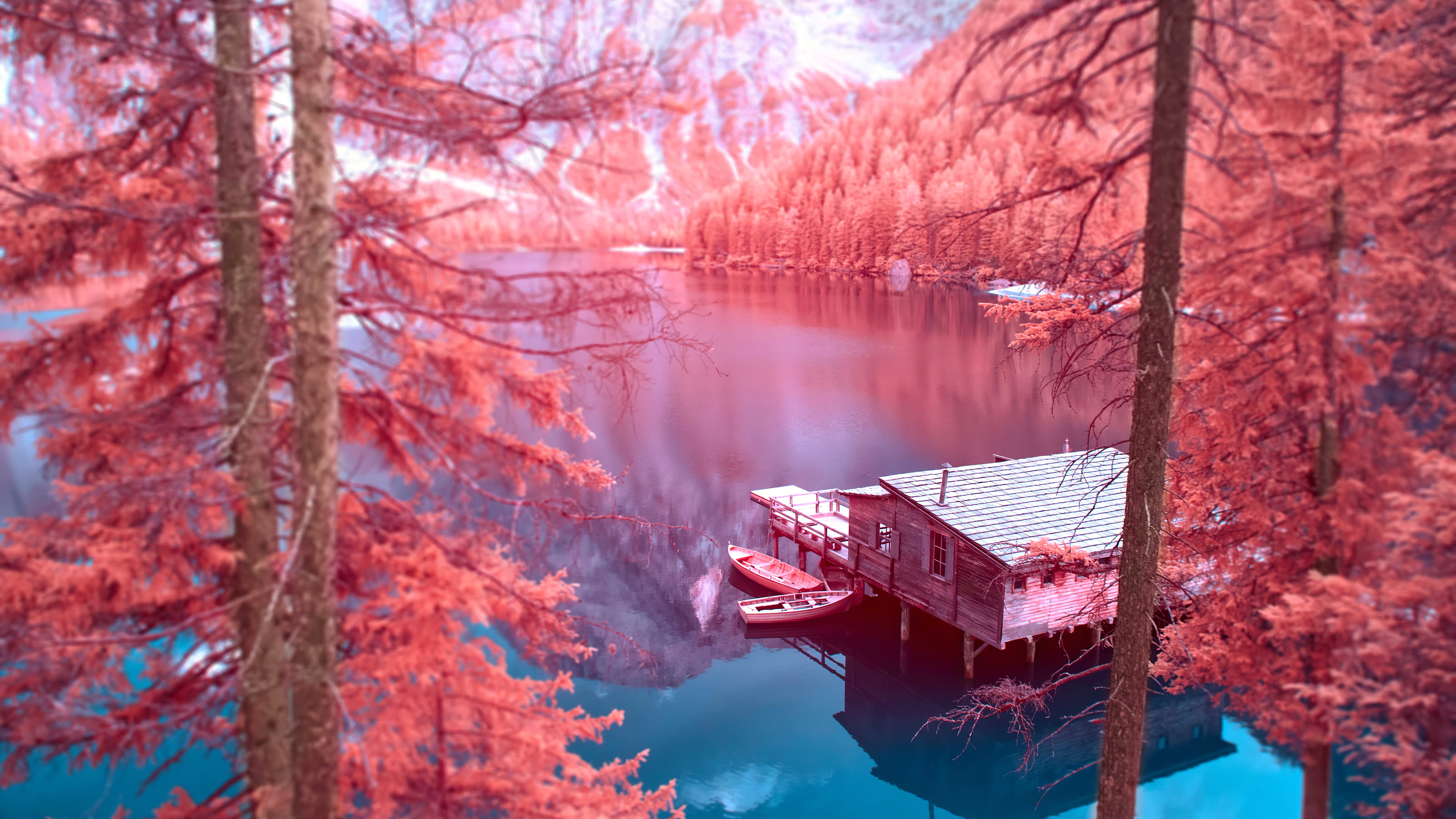 Infrared, Photography, Cabin, 4K, HD Wallpaper
