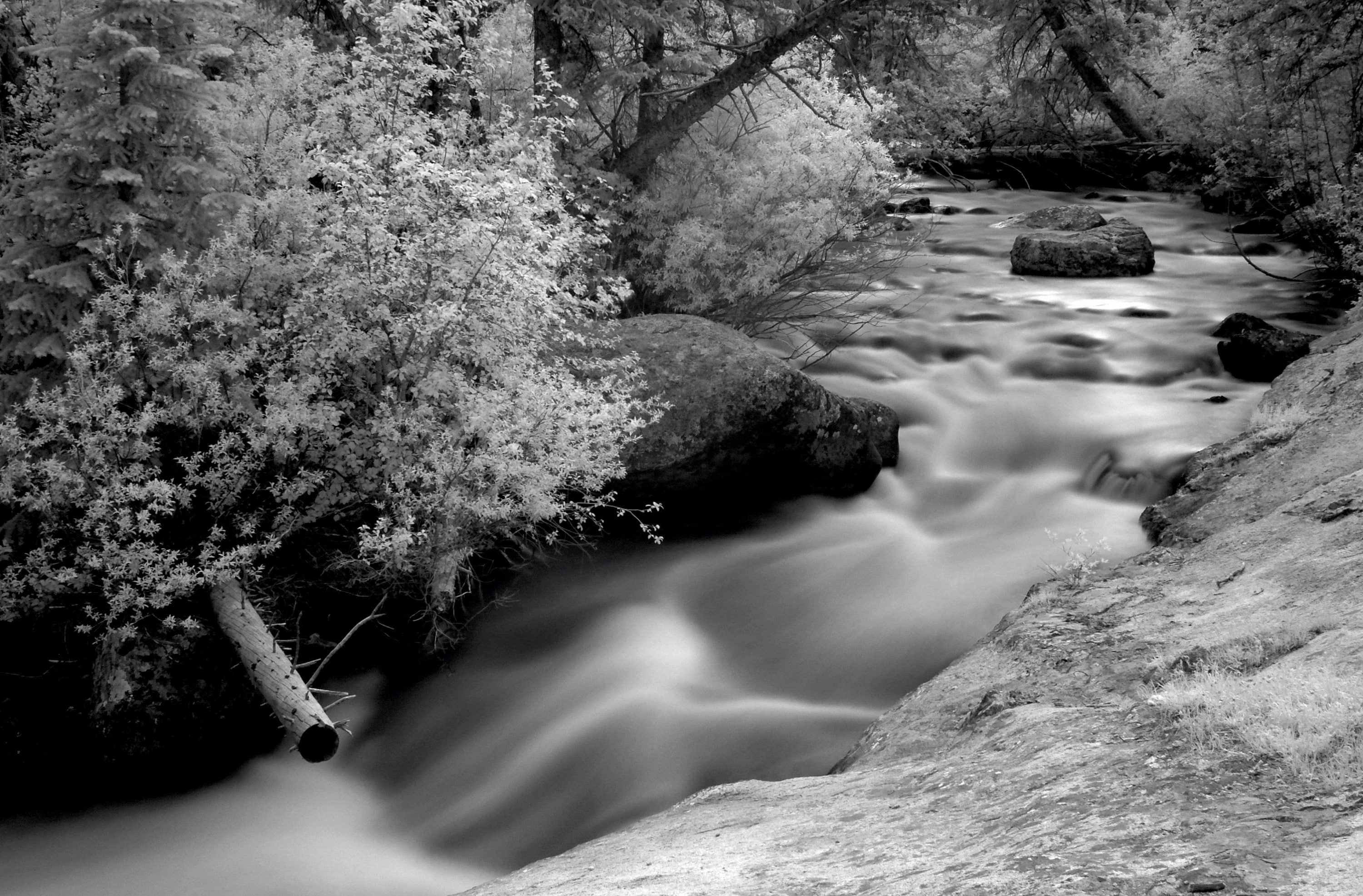 day, hoya, solid, plant, blurred motion, rock, photography, Nature, 35mmf28ai, water, flowing, nikkor, no people, outdoors, infrared, flowing water, beauty in nature, HD Wallpaper