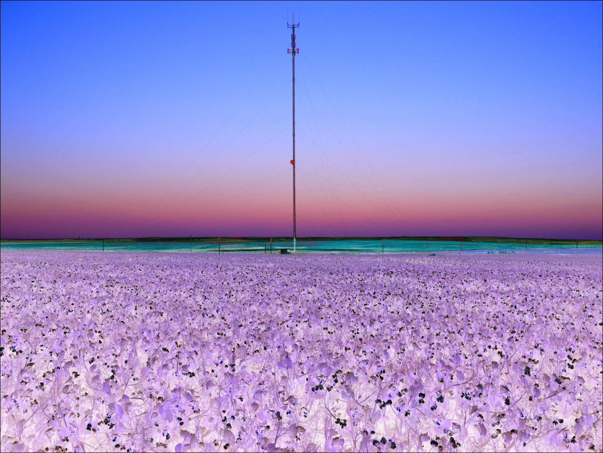 Tower, Landscape, Scenic, Infrared, 1080P, Photography, HD Wallpaper