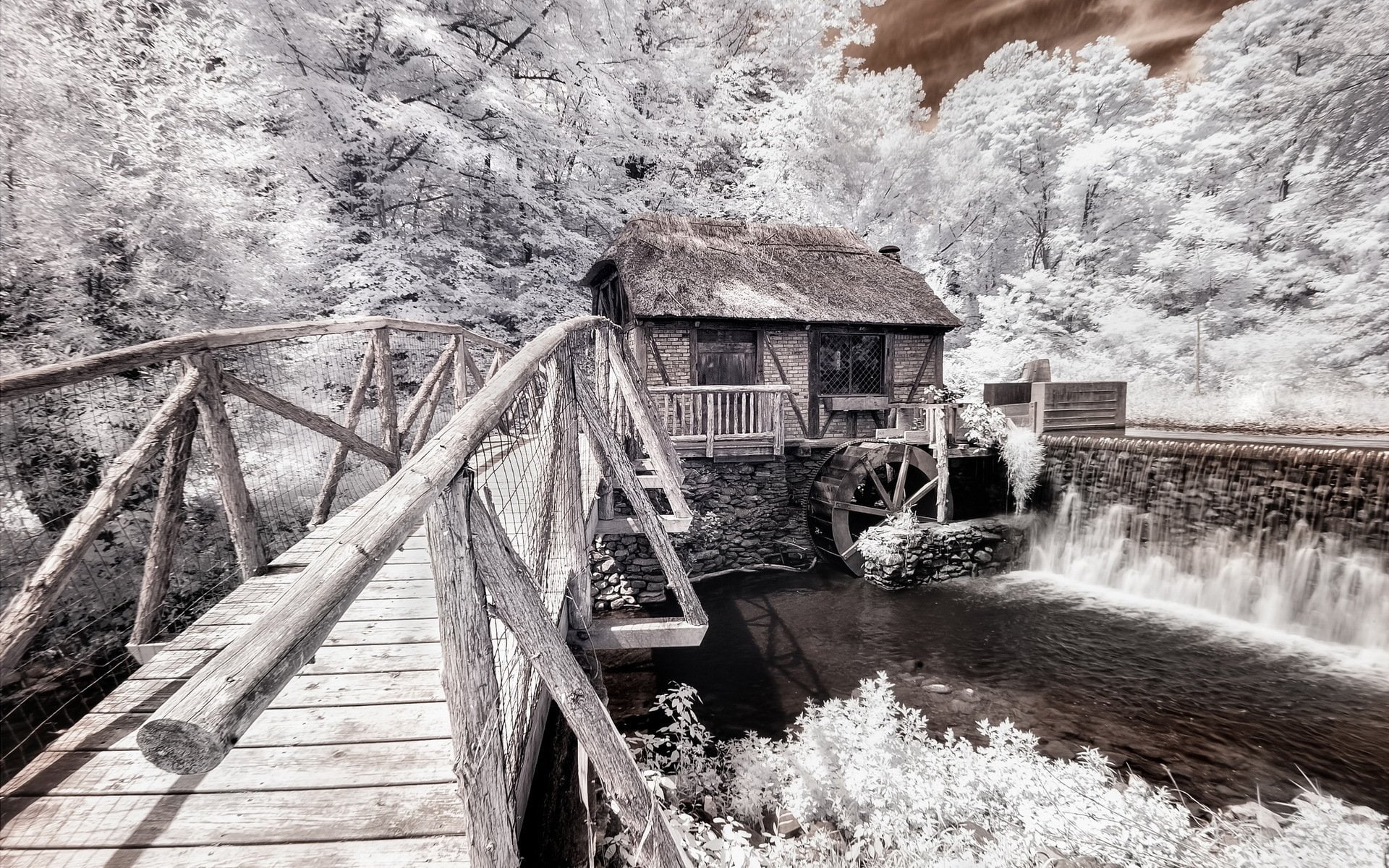 tree, Infrared, outdoors, Bridge, Artistic, no people, Stream, Photography, bridge - man made structure, nature, built structure, footbridge, architecture, HD Wallpaper