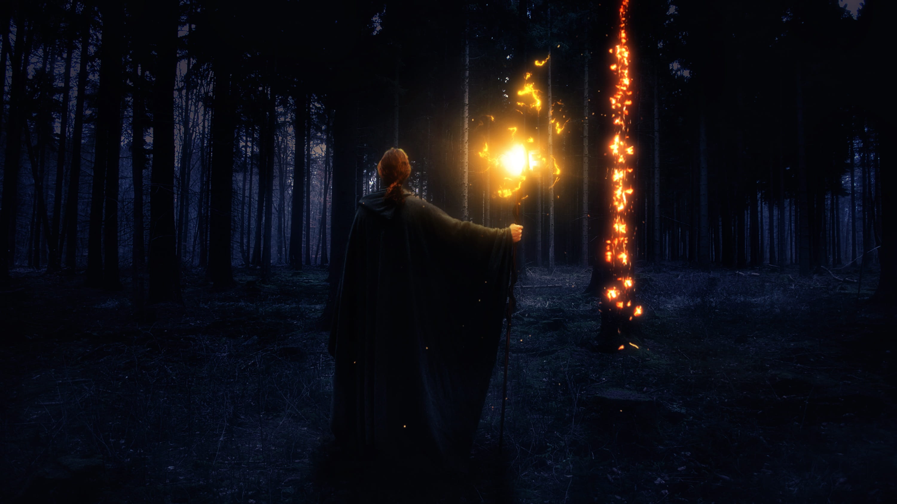 sadness, lifestyles, 2K, three quarter length, tree, mystery, real people, adult, night, magic, outdoors, mysterious, women, plant, druid, young adult, HD Wallpaper