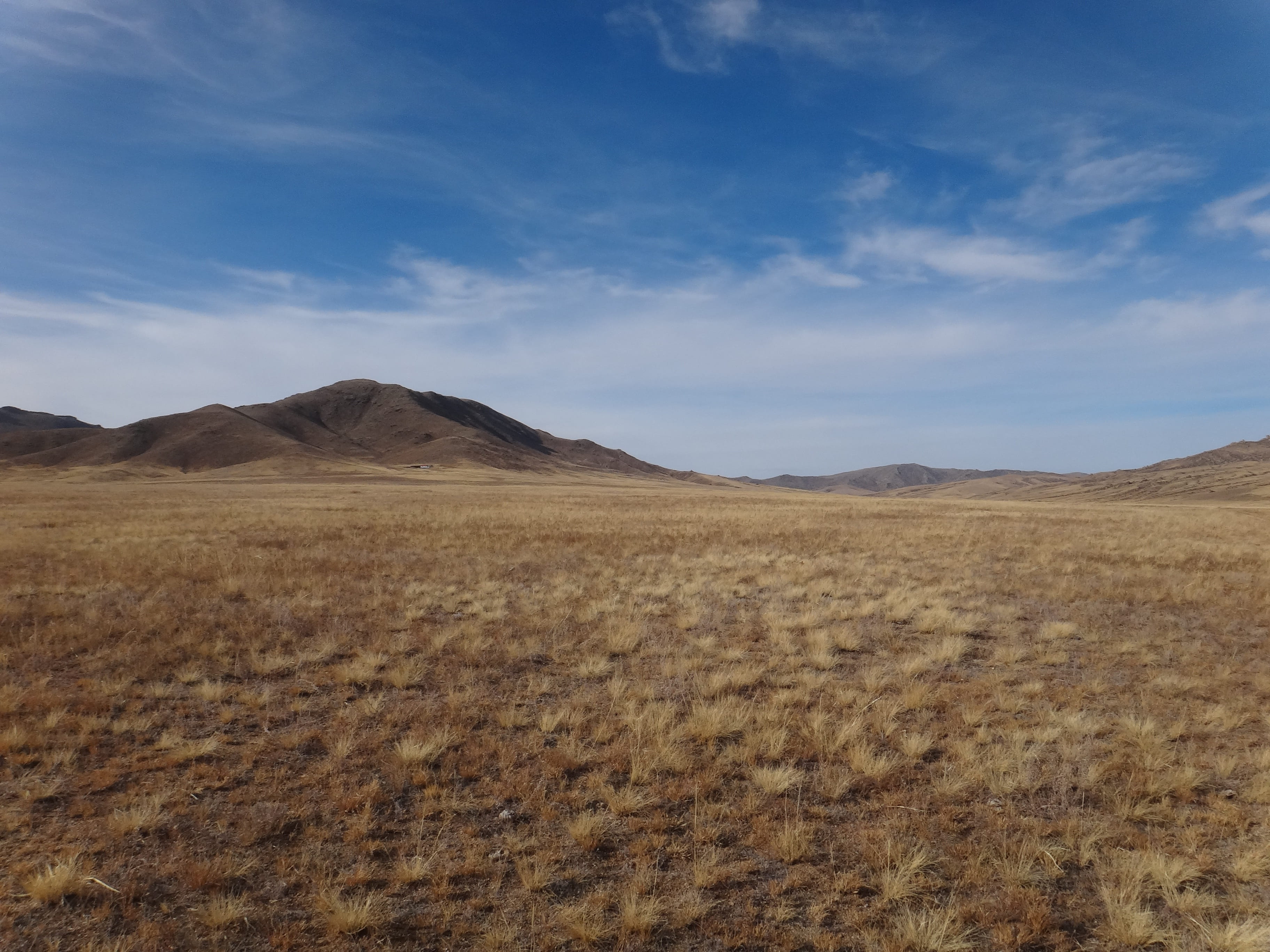 remote, mountain, scenics, outdoors, color Image, rural Scene, plant, Mongolia, wide, dry, arid climate, beauty in nature, tranquil scene, field, tranquility, HD Wallpaper