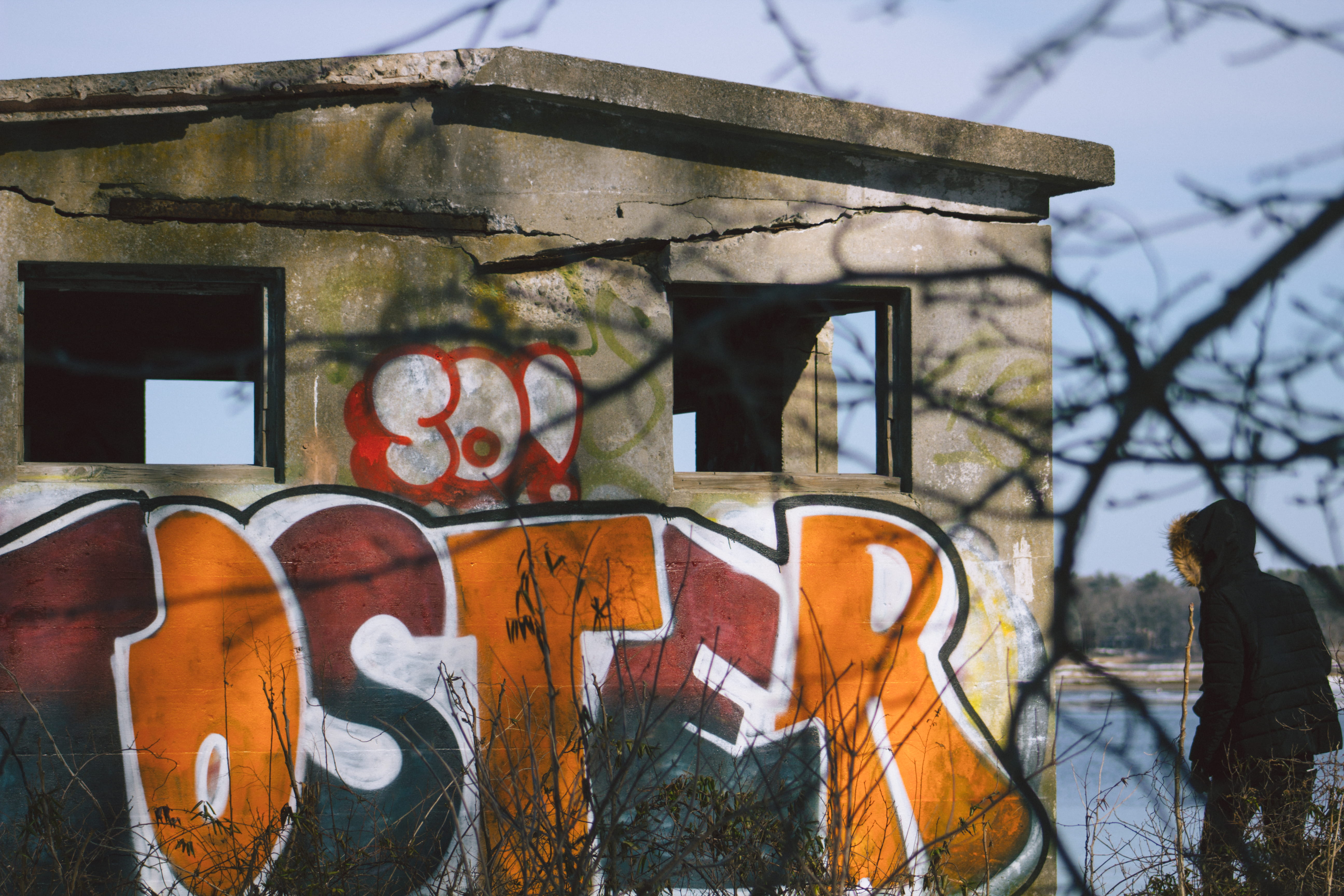 5K, building exterior, graffiti, plant, outdoors, silhouette, no people, bare tree, abandoned, representation, built structure, glass - material, architecture, HD Wallpaper