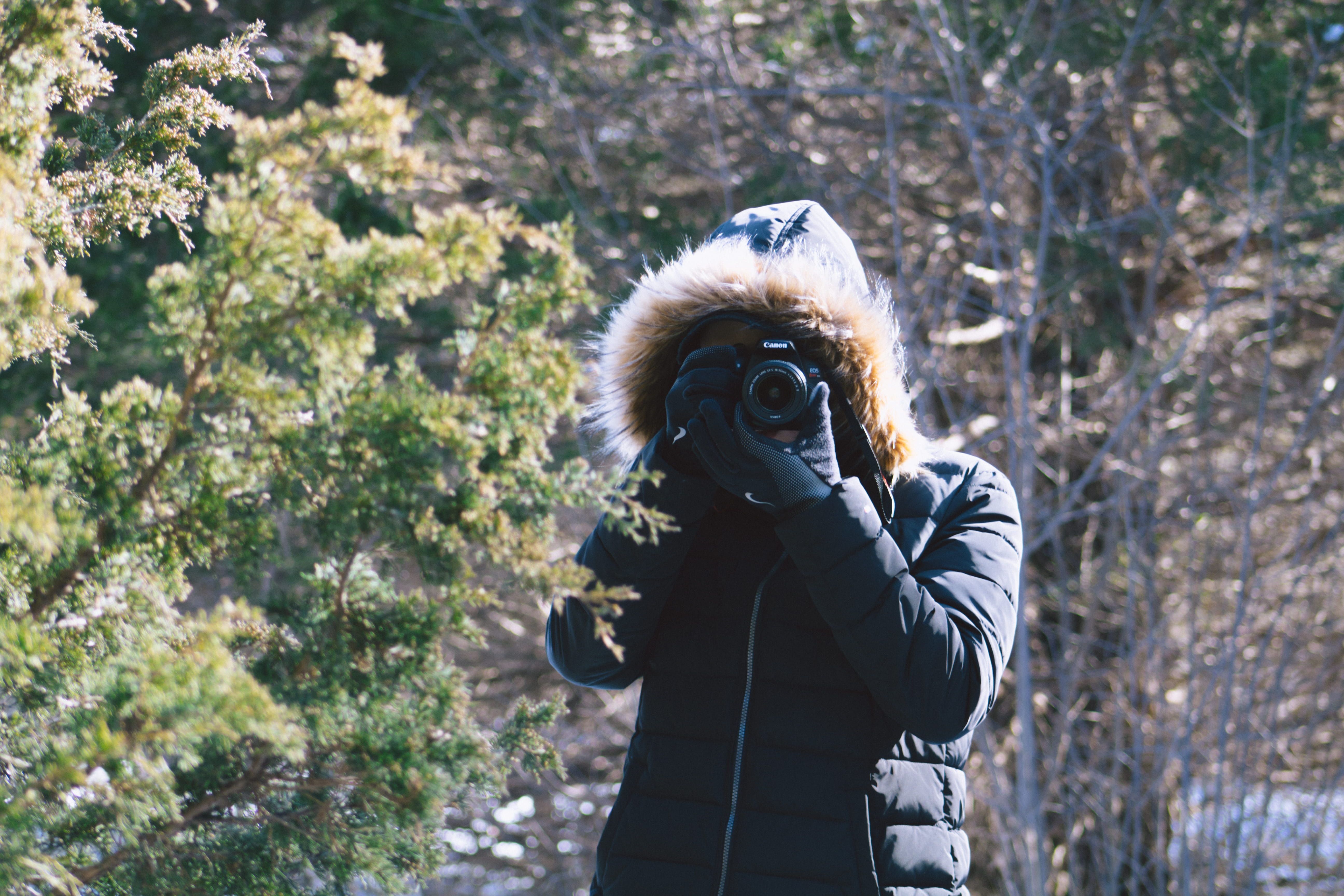 technology, holding, 5K, winter, obscured face, outdoors, plant, waist up, digital camera, activity, hood - clothing, adult, photographer, photography themes, HD Wallpaper