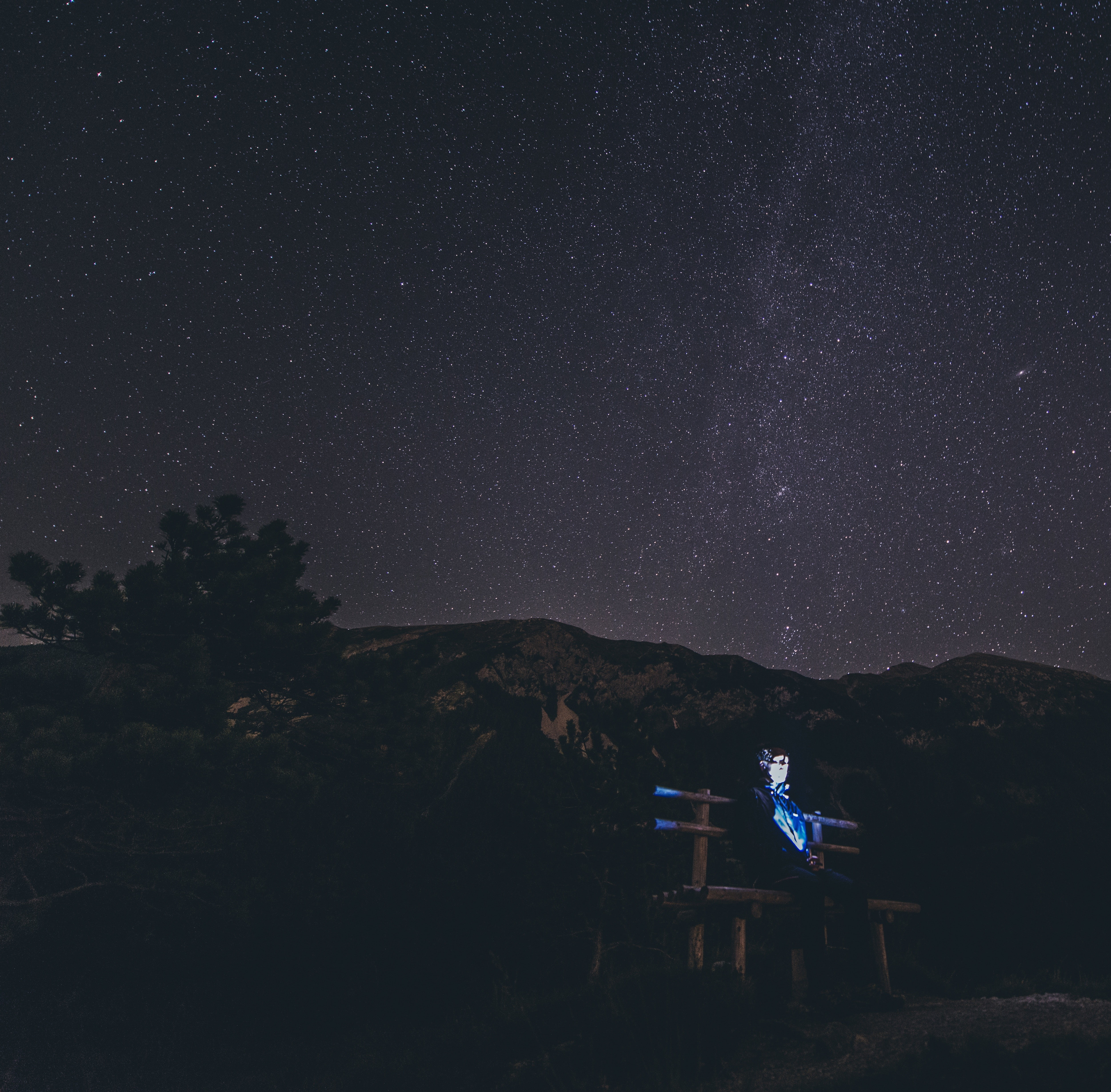 men, outdoors, tranquil scene, sky, 4K, plant, star - space, tranquility, infinity, beauty in nature, dark, nature, astronomy, tree, night, space and astronomy, HD Wallpaper