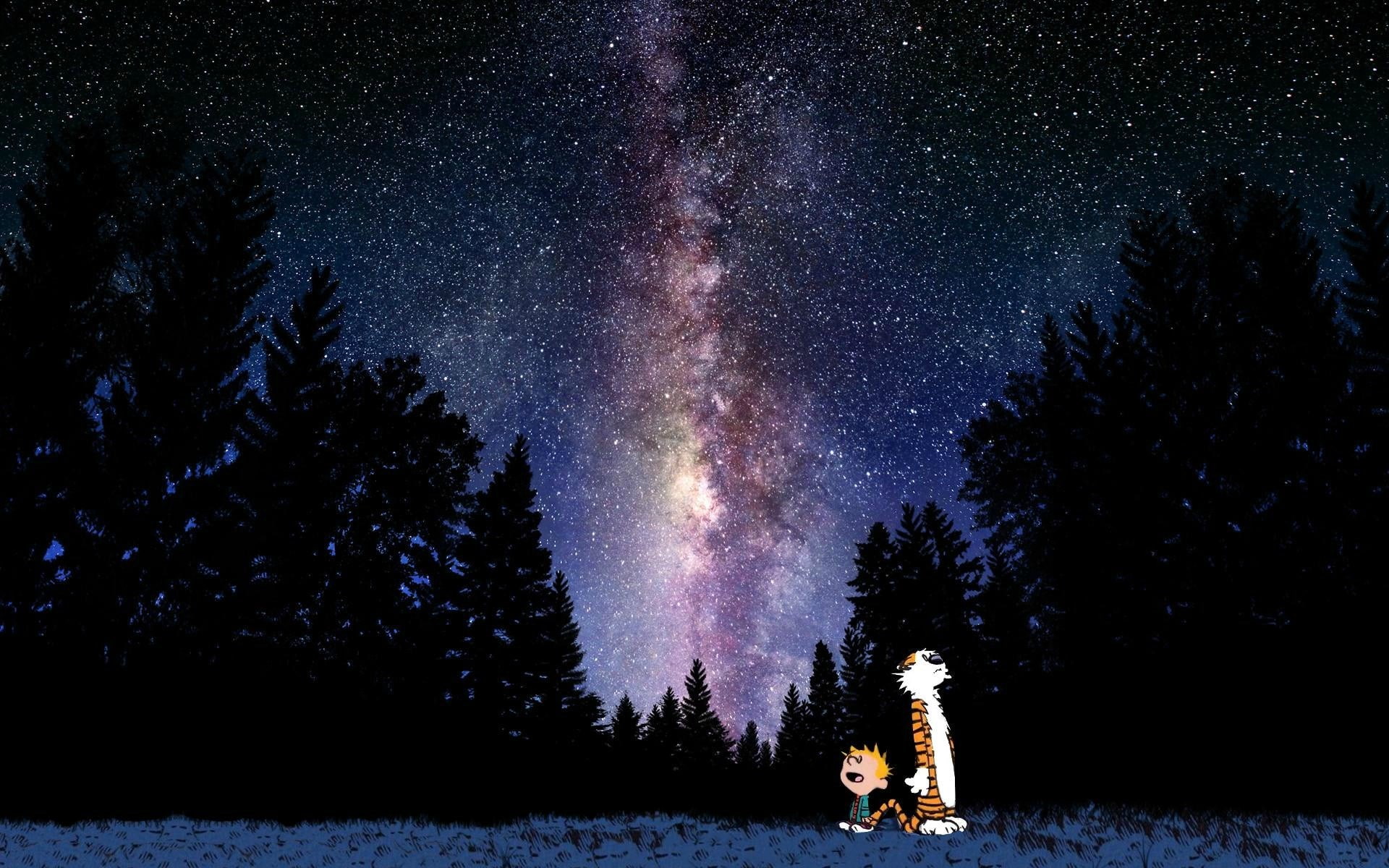 1080P, non-urban scene, land, star field, two people, nature, star - space, beauty in nature, galaxy, outdoors, sky, calvin and hobbes, real people, scenics - nature, HD Wallpaper