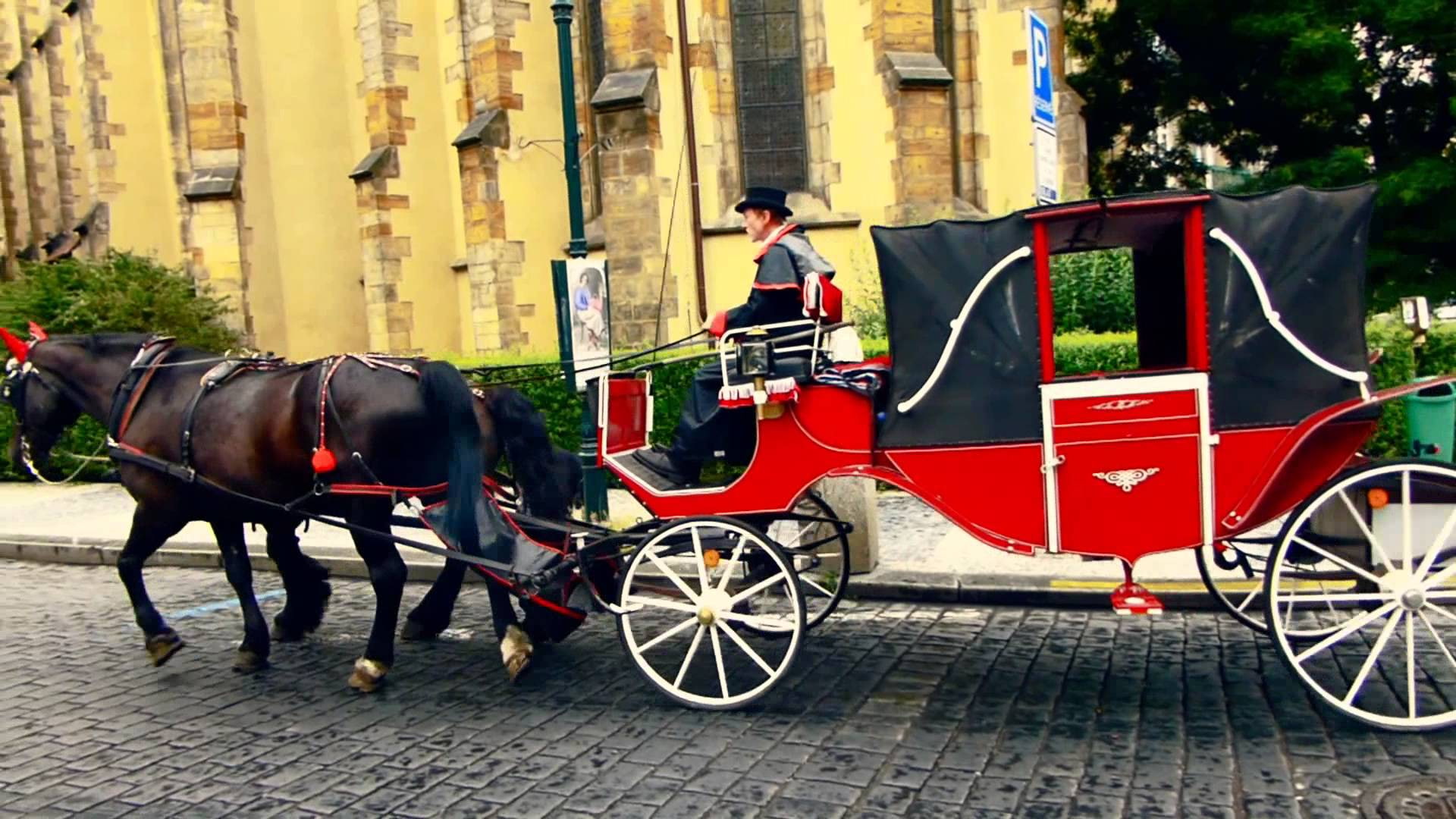 carruaje, 1080P, transporte, caballos, chofer, HD Wallpaper