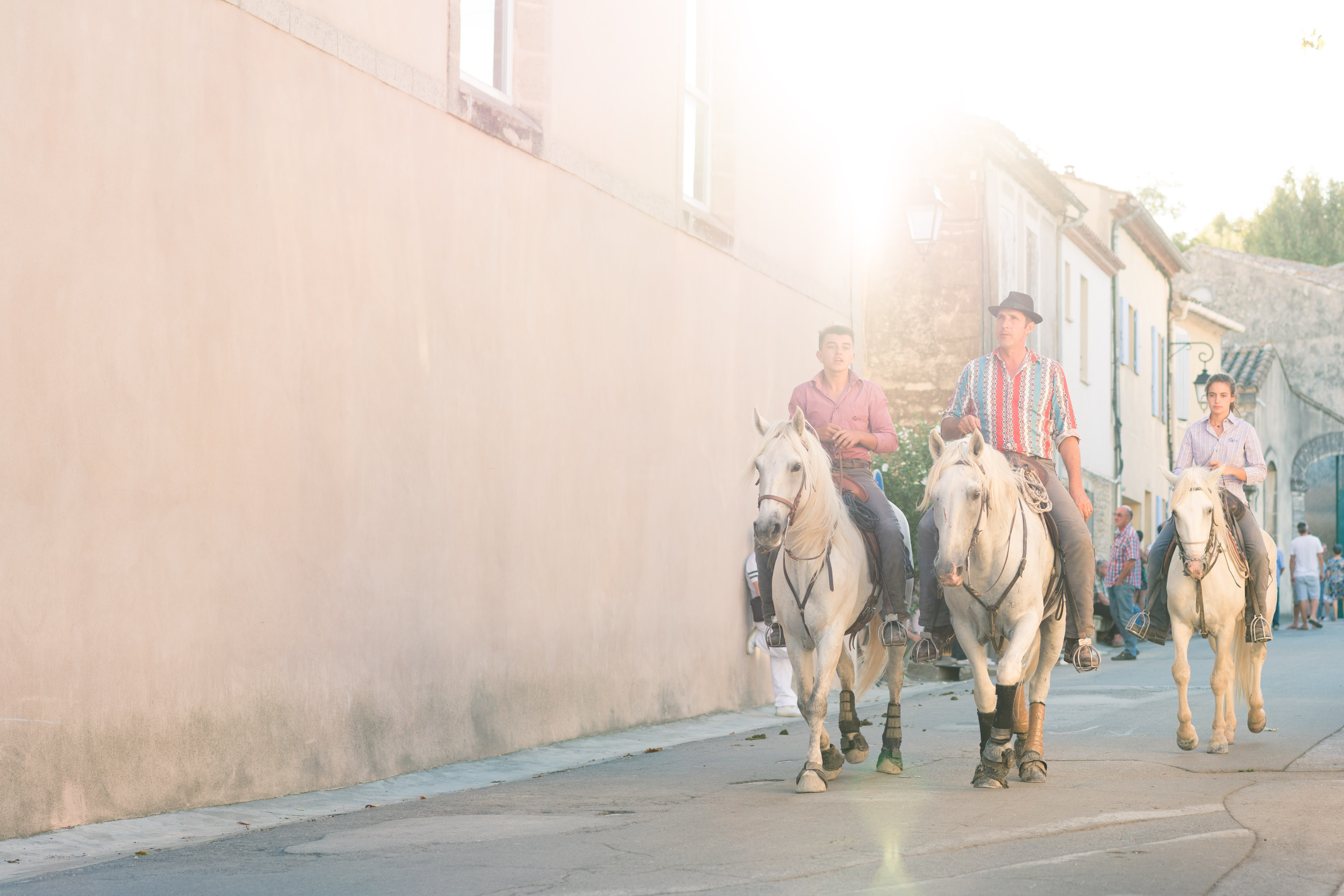 sunlight, mammal, outdoors, near, walking, caballo, people, horses, group of animals, city, domestic animals, riding, male, lens flare, group of people, HD Wallpaper