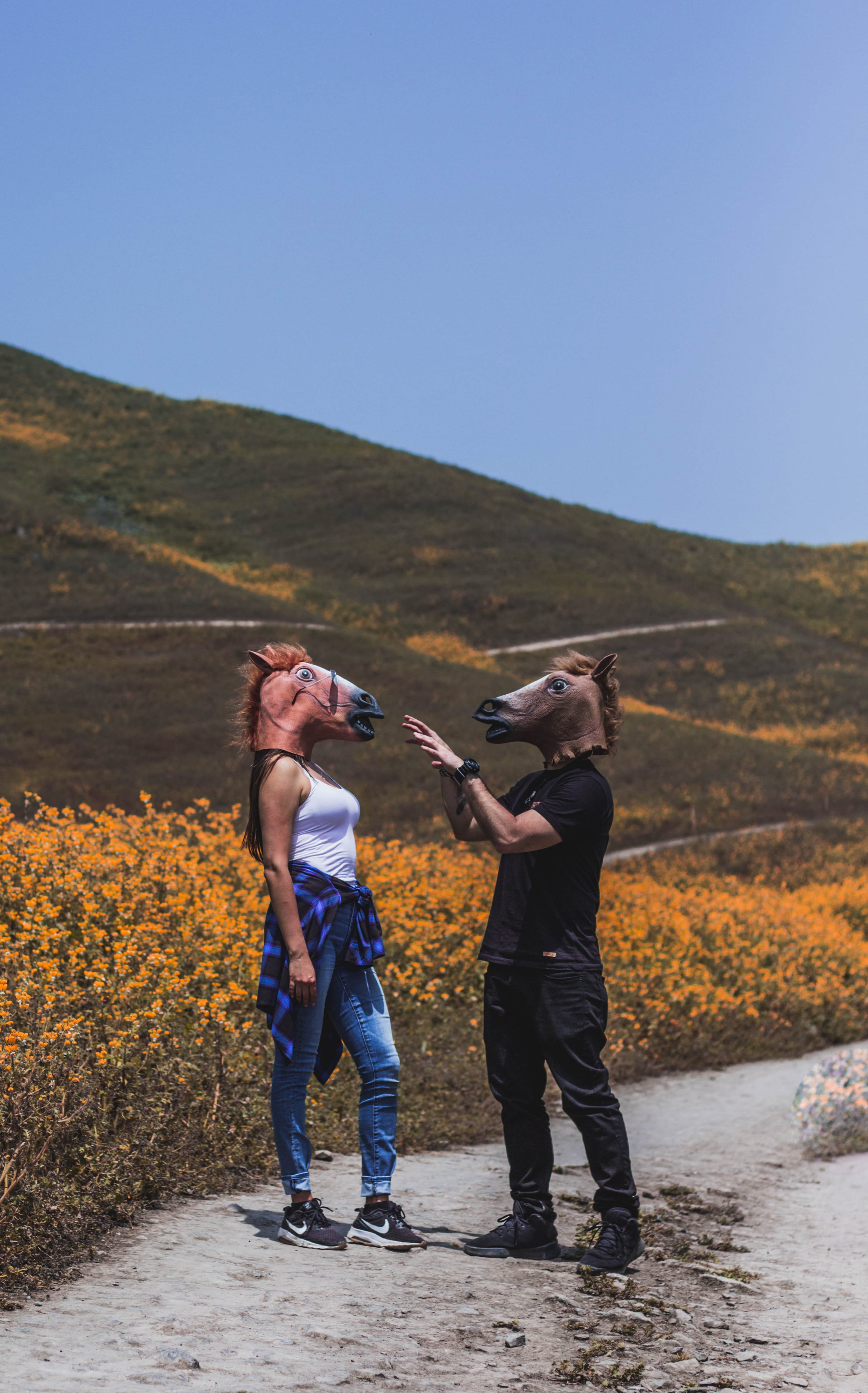 pose, field, landscape, horse mask, wearing, caballo, horse, leisure activity, positive emotion, magic, full length, flower, crazyz, near, style, play, Phone HD Wallpaper