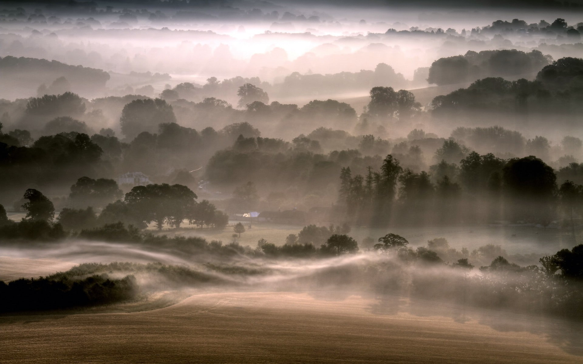 plant, idyllic, beauty in nature, hills, morning, cloud - sky, trees, mist, outdoors, non-urban scene, landscape, sun rays, environment, nature, sunlight, HD Wallpaper