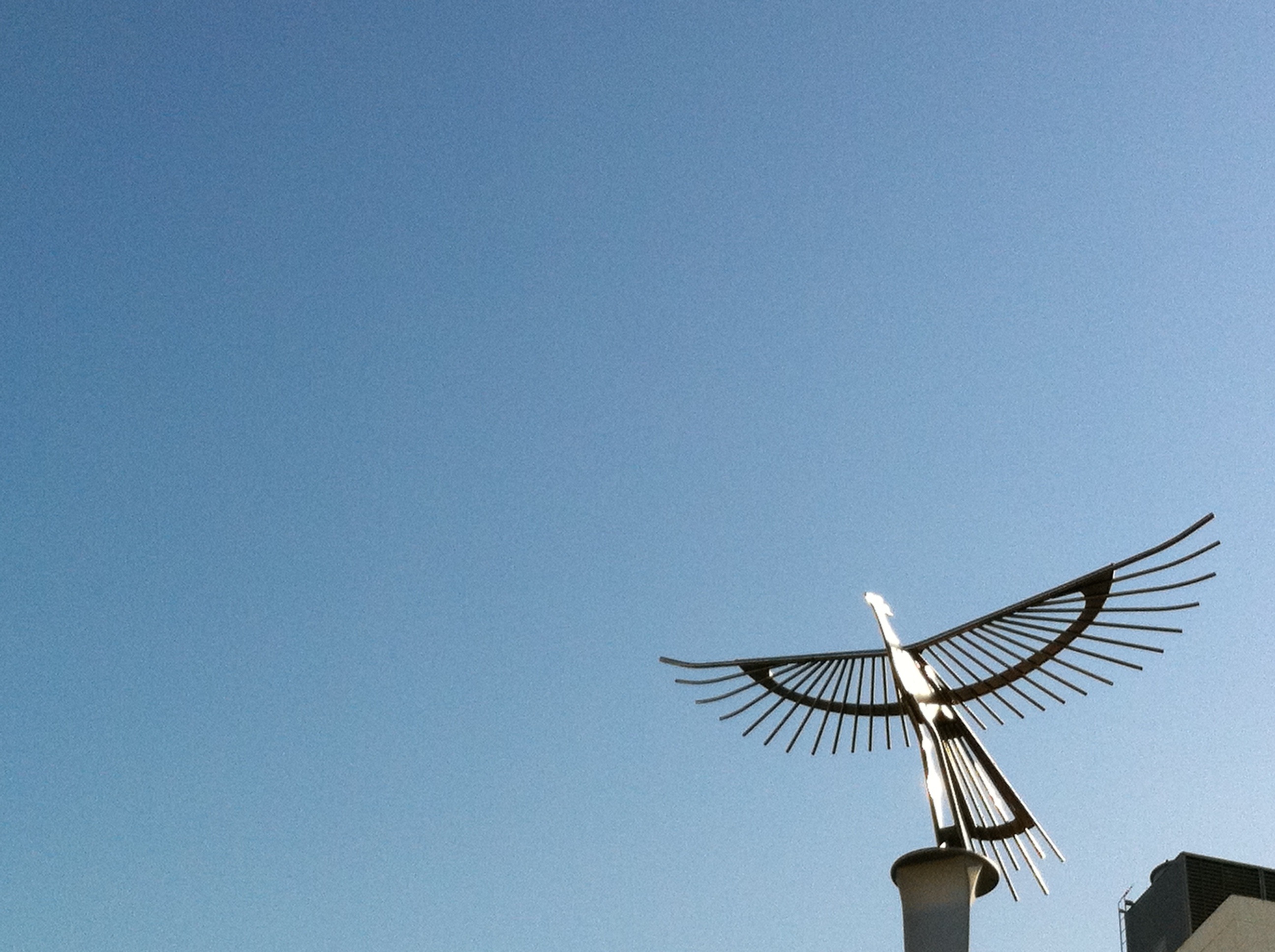 day, blue, high section, bird, gold belong, turbine, flying, architecture, white space, sky, no people, wind power, nature, renewable energy, environmental conservation, HD Wallpaper
