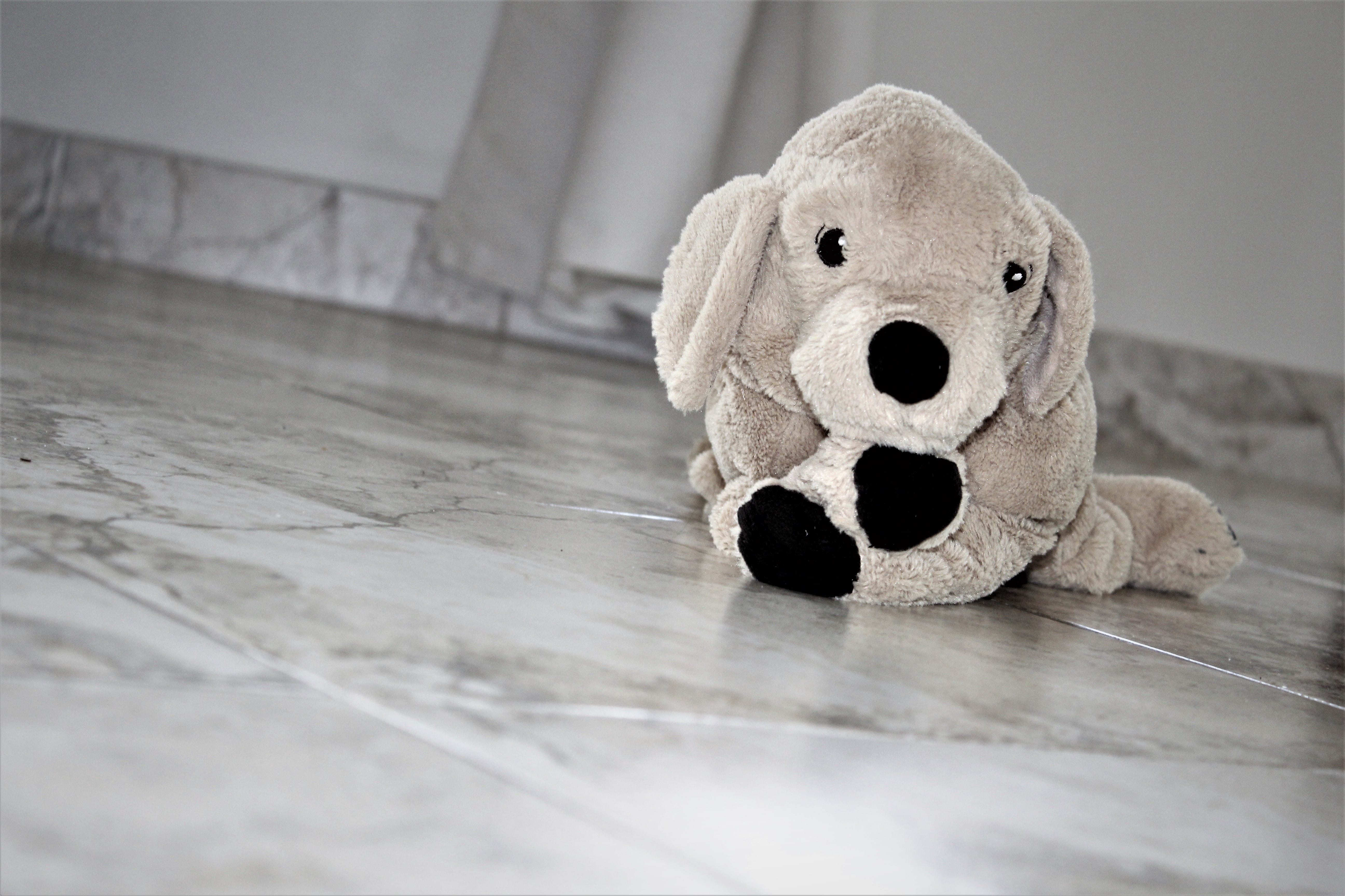 marble, flooring, roxy, sadness, panda - animal, echo, still life, crop, united kingdom, toy, stitch, abandoned, emotion, kids, dirt, bear, tiles, 5K, HD Wallpaper