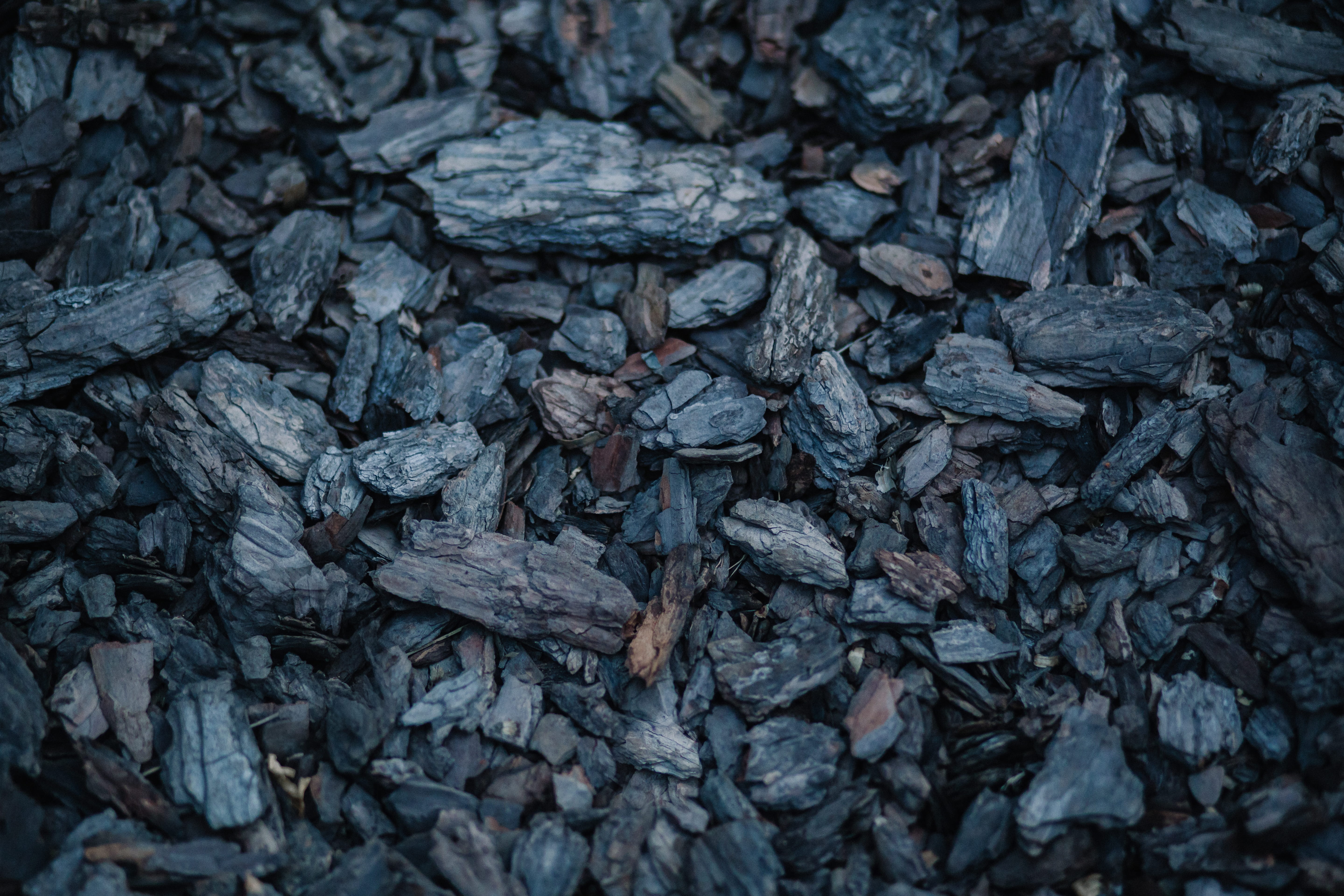 5K, фон, елка, black Color, dry, heap, garbage, no People, macro, food, backgrounds, древесныйфон, nature, texture, leaf, дерево, textured, кора, dark, HD Wallpaper