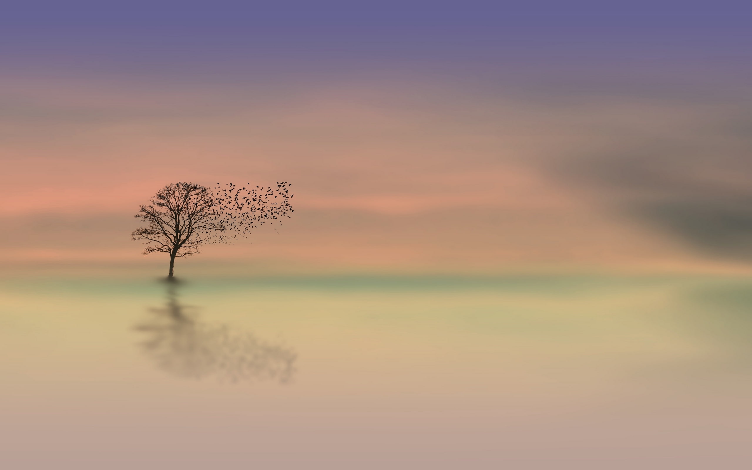 nature, idyllic, reflection, scenics - nature, tranquility, bare tree, copac, cloud - sky, non-urban scene, lake, no people, sky, plant, waterfront, tree, HD Wallpaper