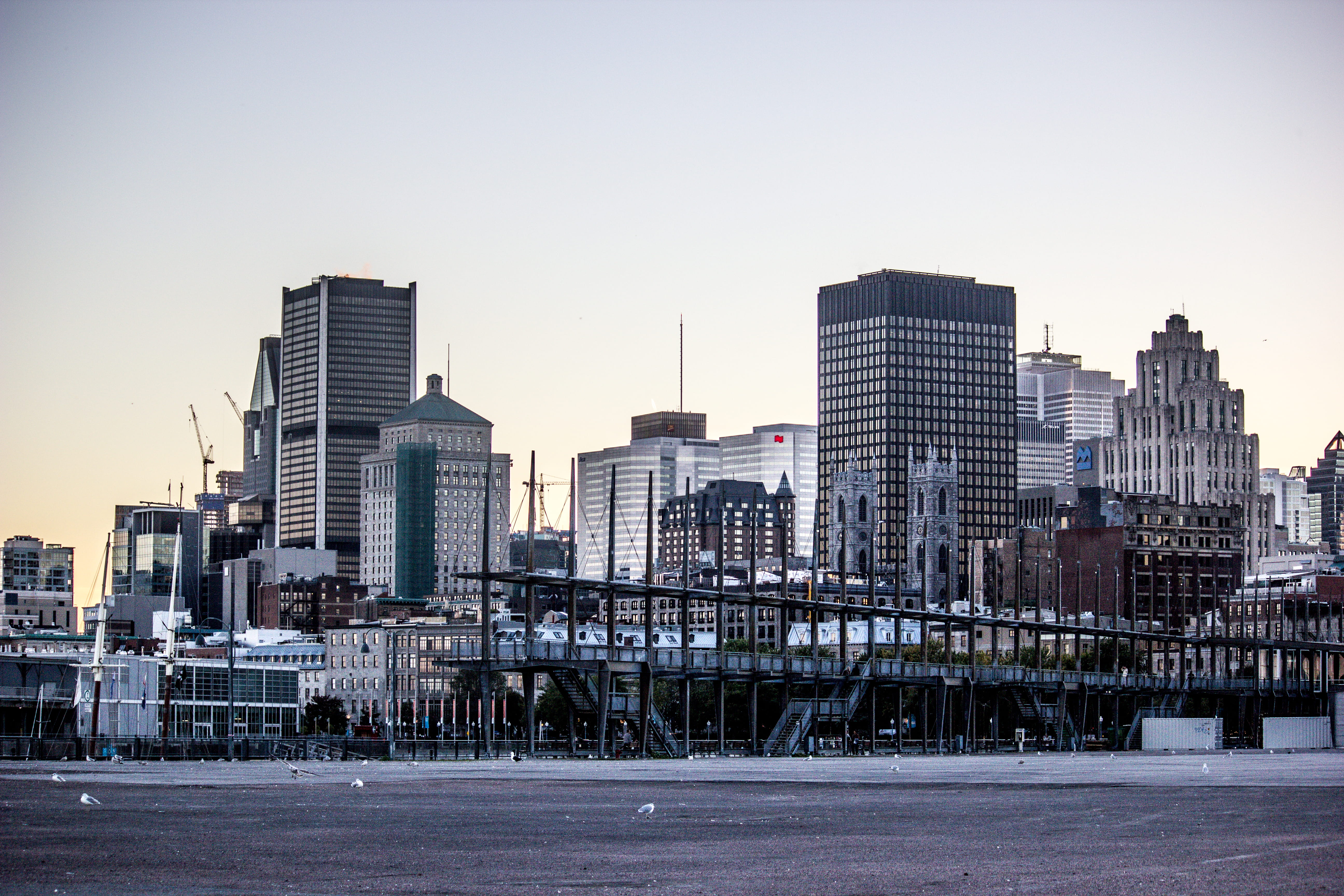 outdoors, residential district, cityscape, building exterior, tall - high, skyscraper, built structure, buildings, sunset, modern, sky, yacht club de montreal, HD Wallpaper