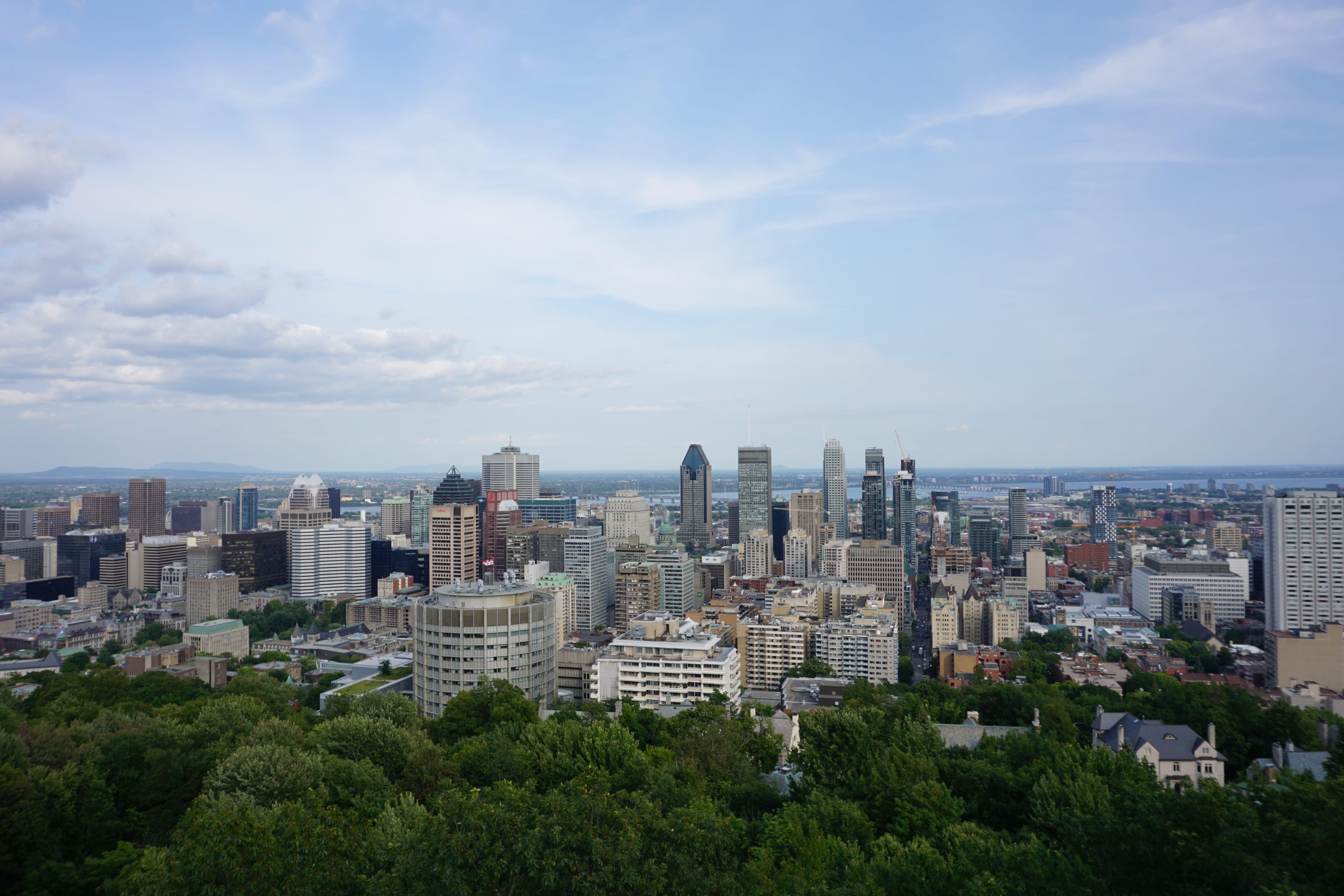skyline, city, vista, high, building, tourism, royal, aerial, tall - high, plant, canada, skyscraper, tree, modern, quebec, mont, summer, urban skyline, HD Wallpaper