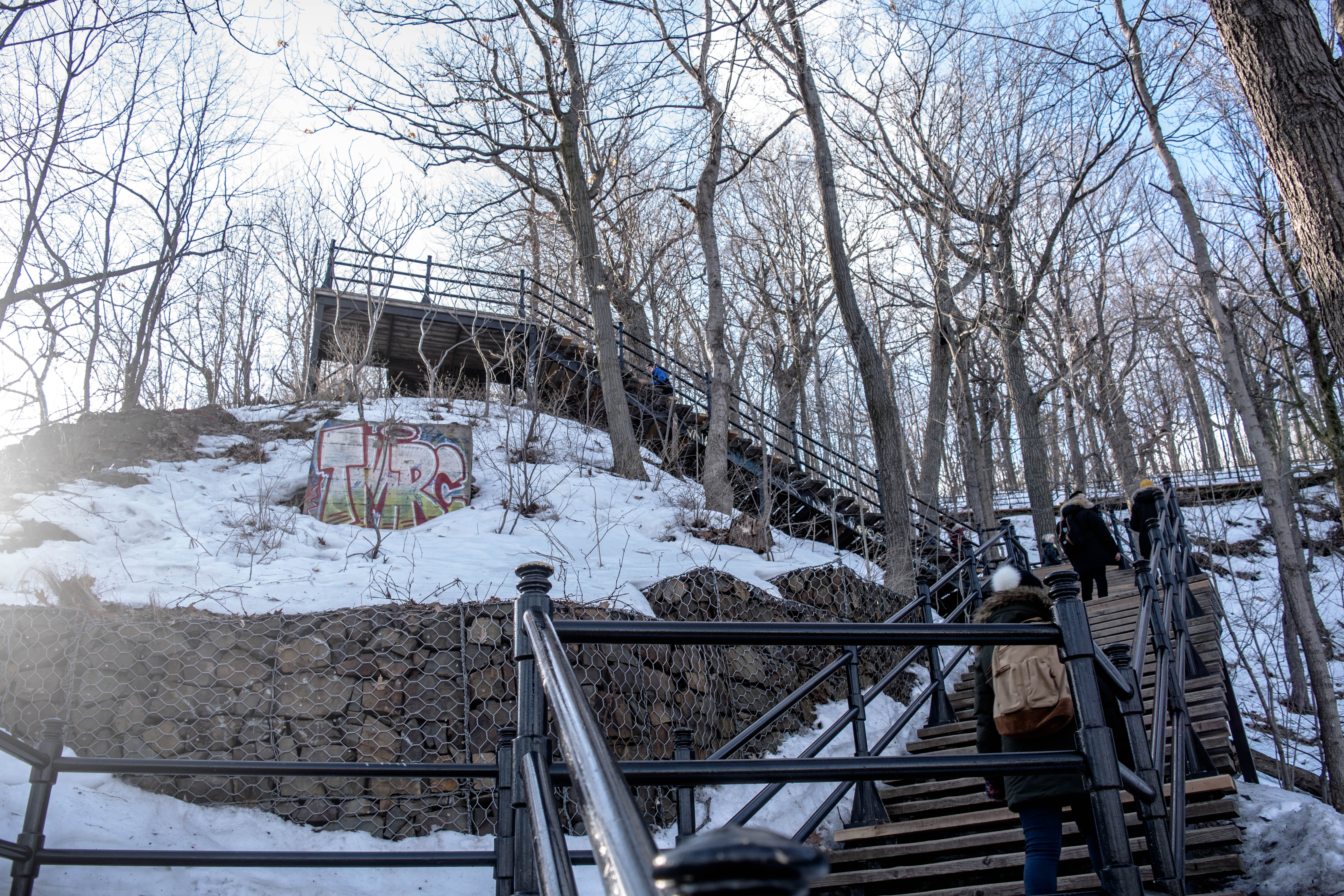 cold temperature, mont royal, bridge, montréal, connection, chalet du mont-royal, winter, no people, building exterior, plant, architecture, built structure, HD Wallpaper